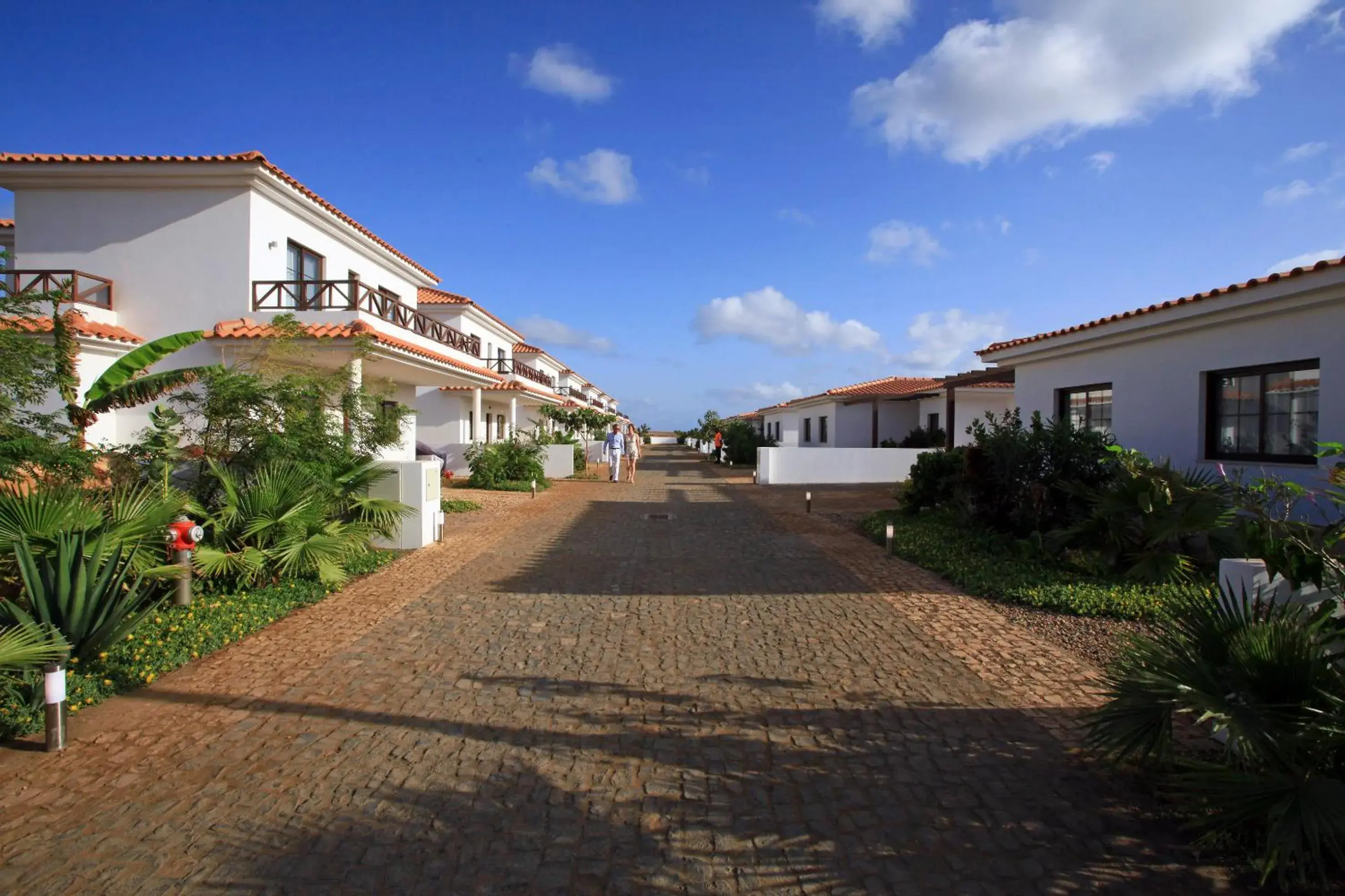 Garden, Property Building in Melia Tortuga Beach