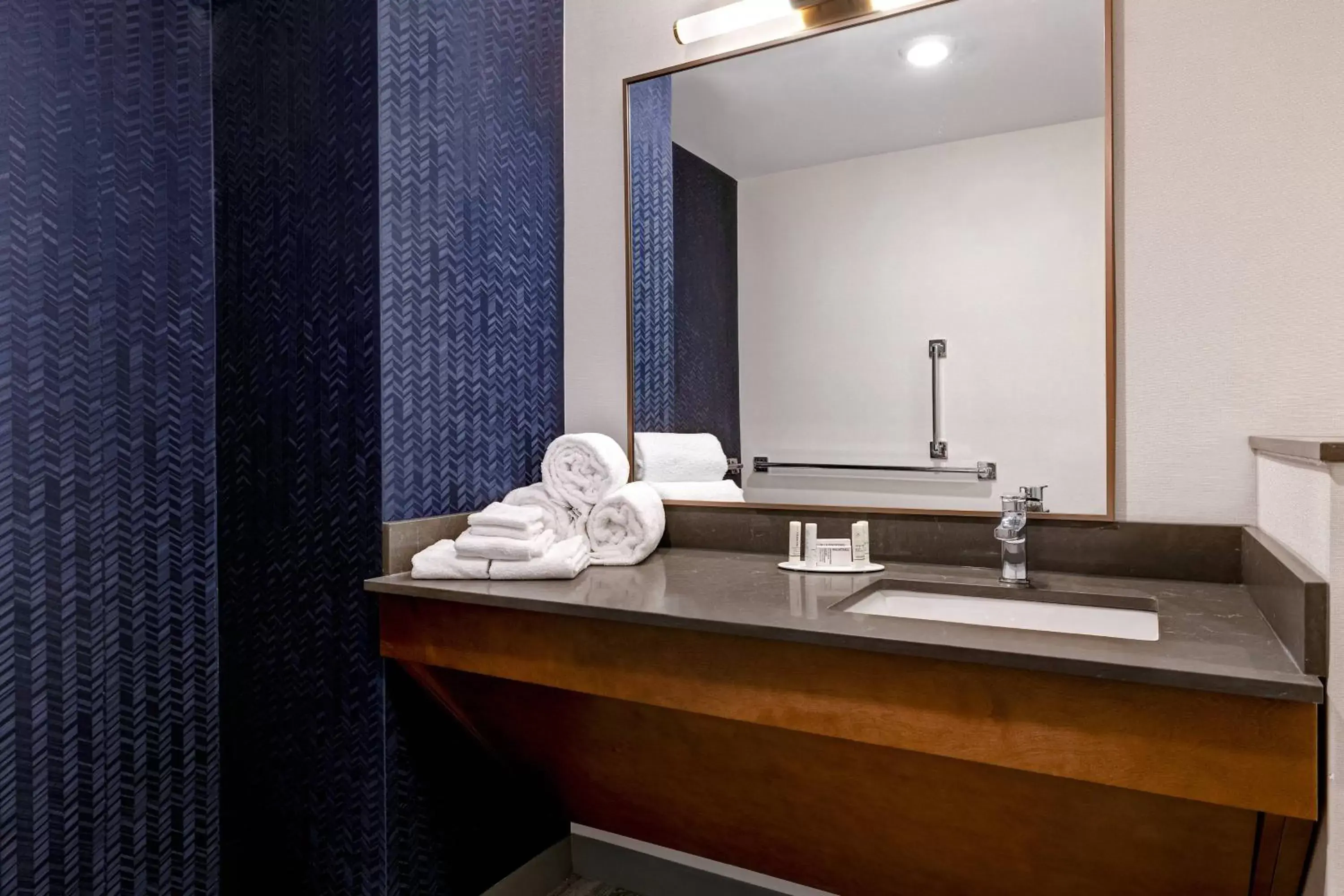 Bathroom in Fairfield by Marriott Inn & Suites St. Paul Eagan