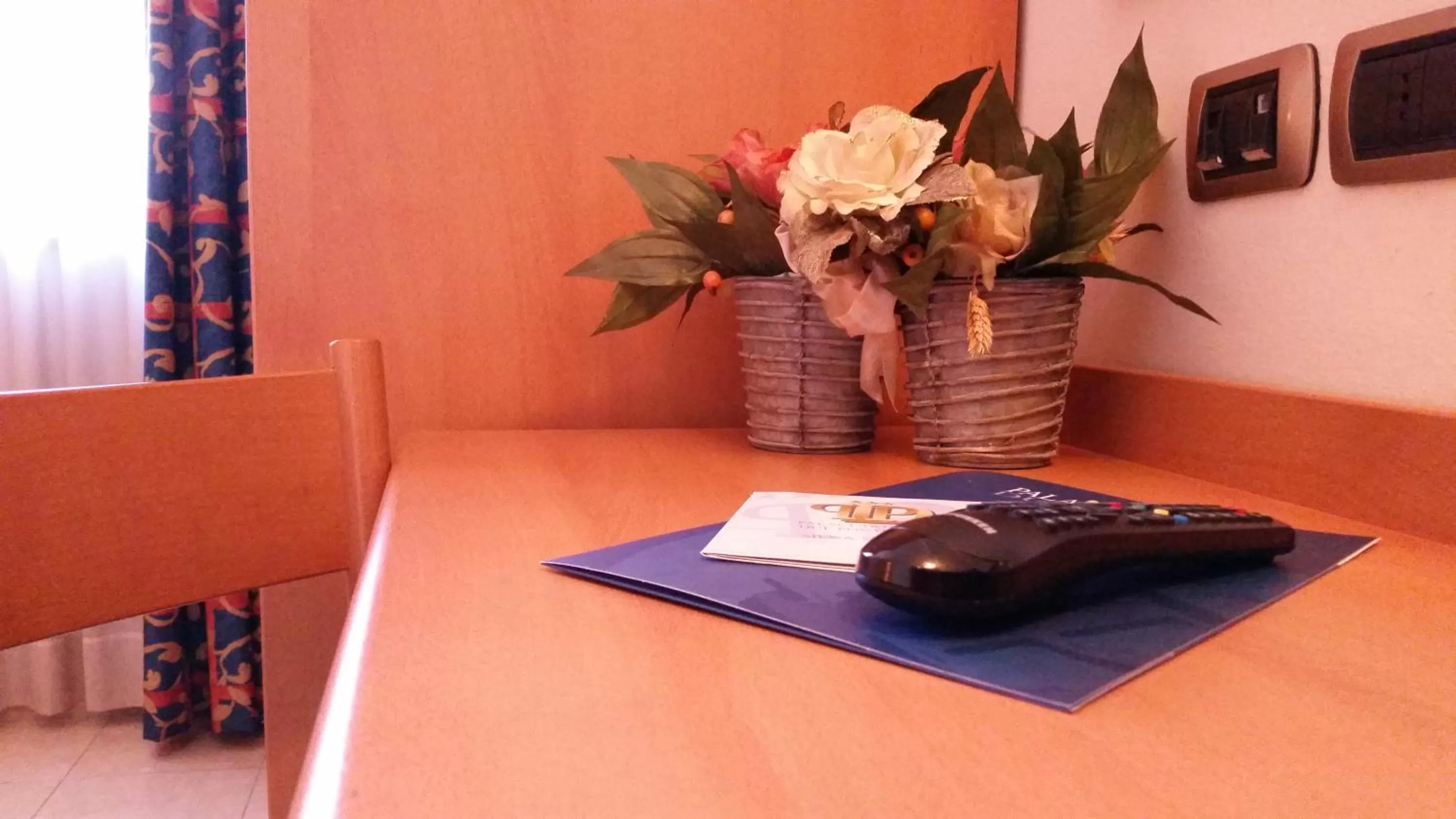 TV and multimedia in Palace Hotel Due Ponti