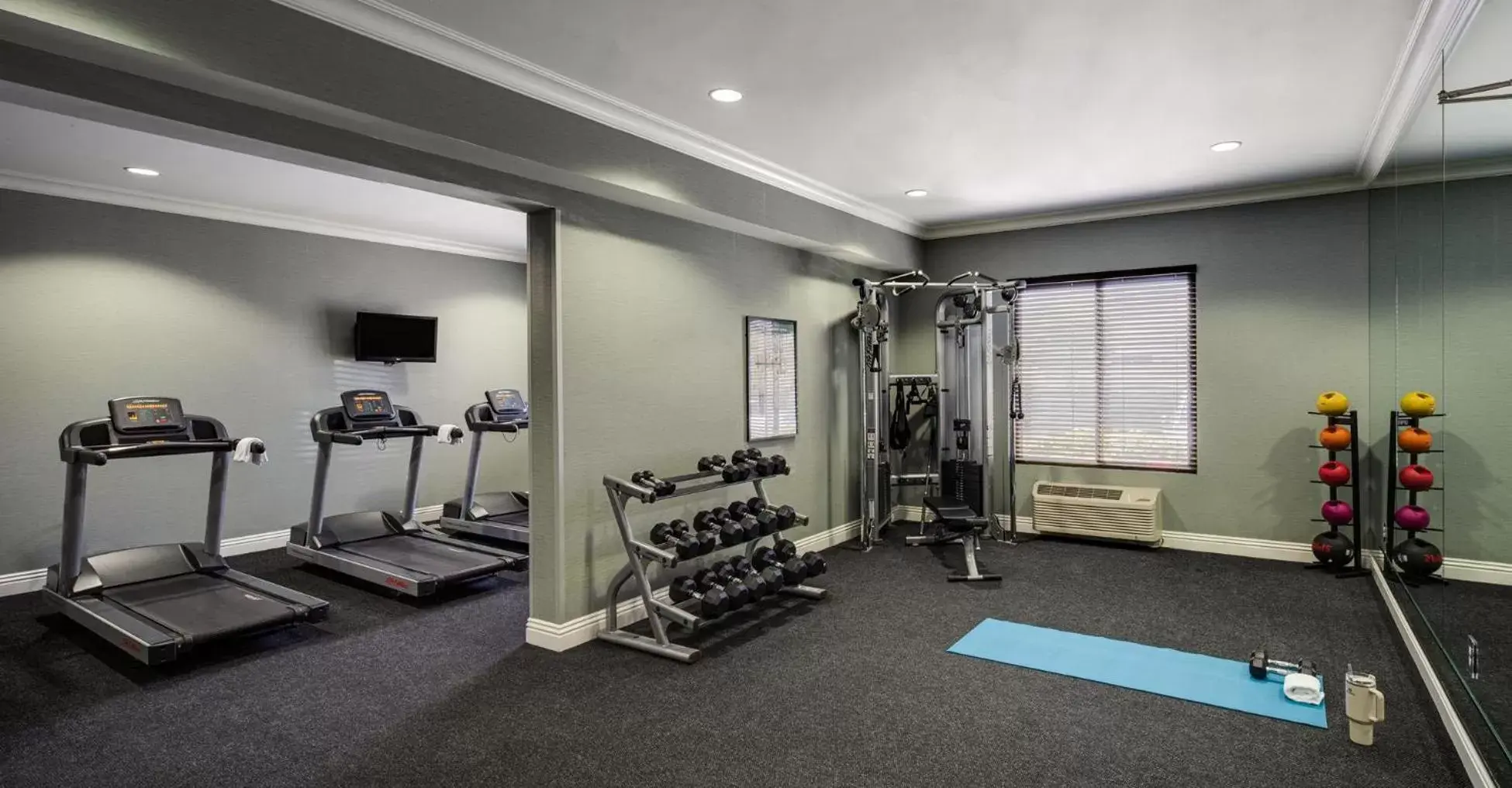 Fitness centre/facilities, Fitness Center/Facilities in Ayres Hotel Fountain Valley