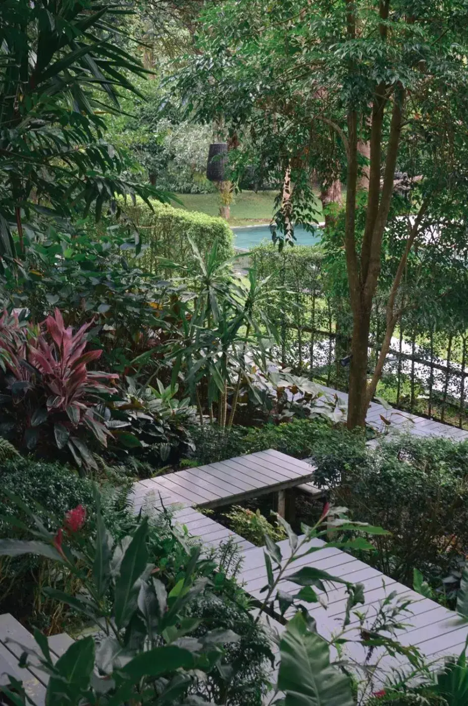 Garden, Pool View in The Hidden Resort