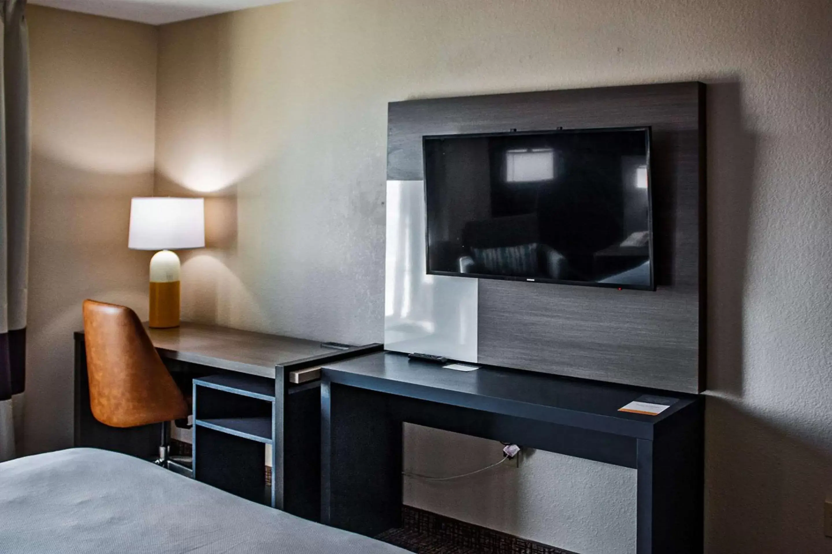 Bedroom, TV/Entertainment Center in Comfort Inn & Suites Geneva- West Chicago
