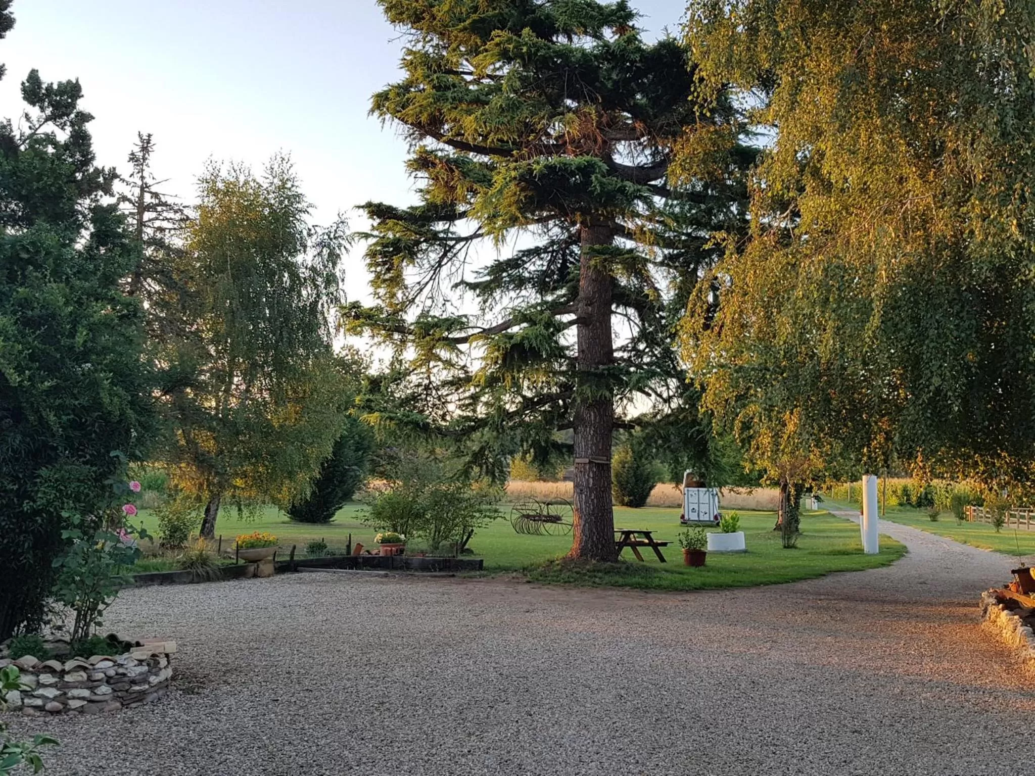 Summer, Garden in Chambres d'Hotes Carpediem
