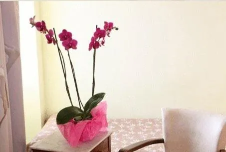 Decorative detail in Logis Hotel Le Clos Des Oliviers