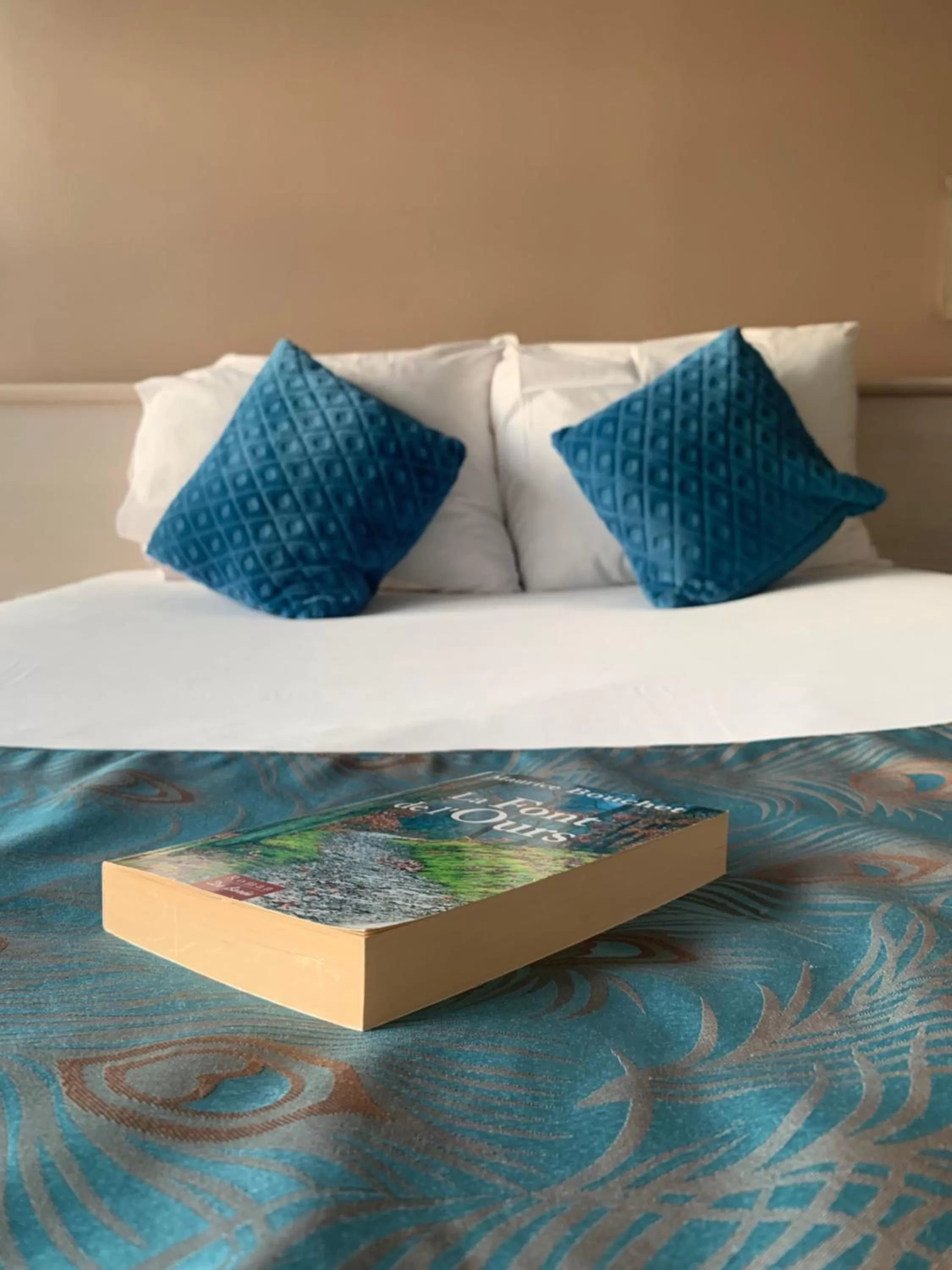 Bed in Hôtel L'ile Du Saussay