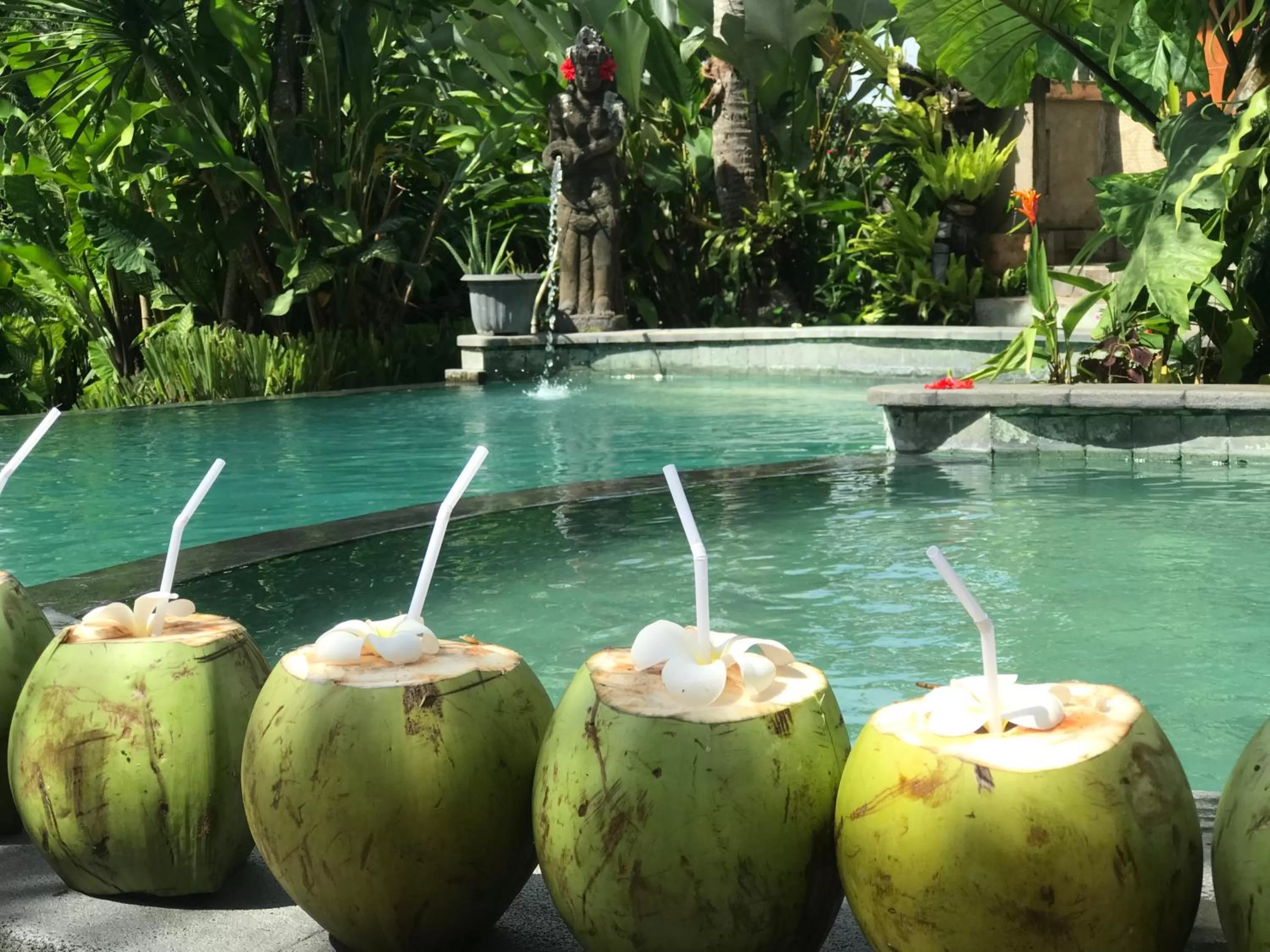 Garden in White House