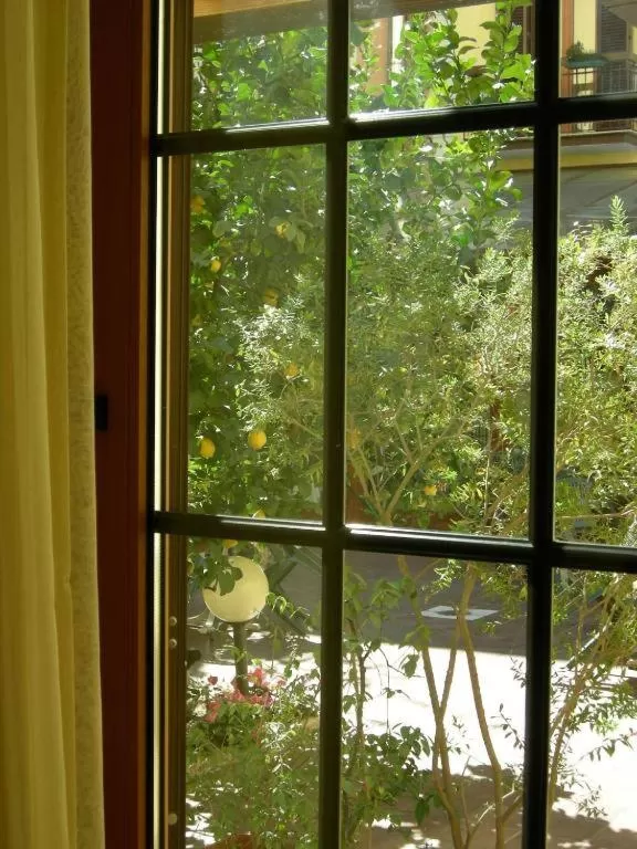 Garden view in Hotel Astoria Garden