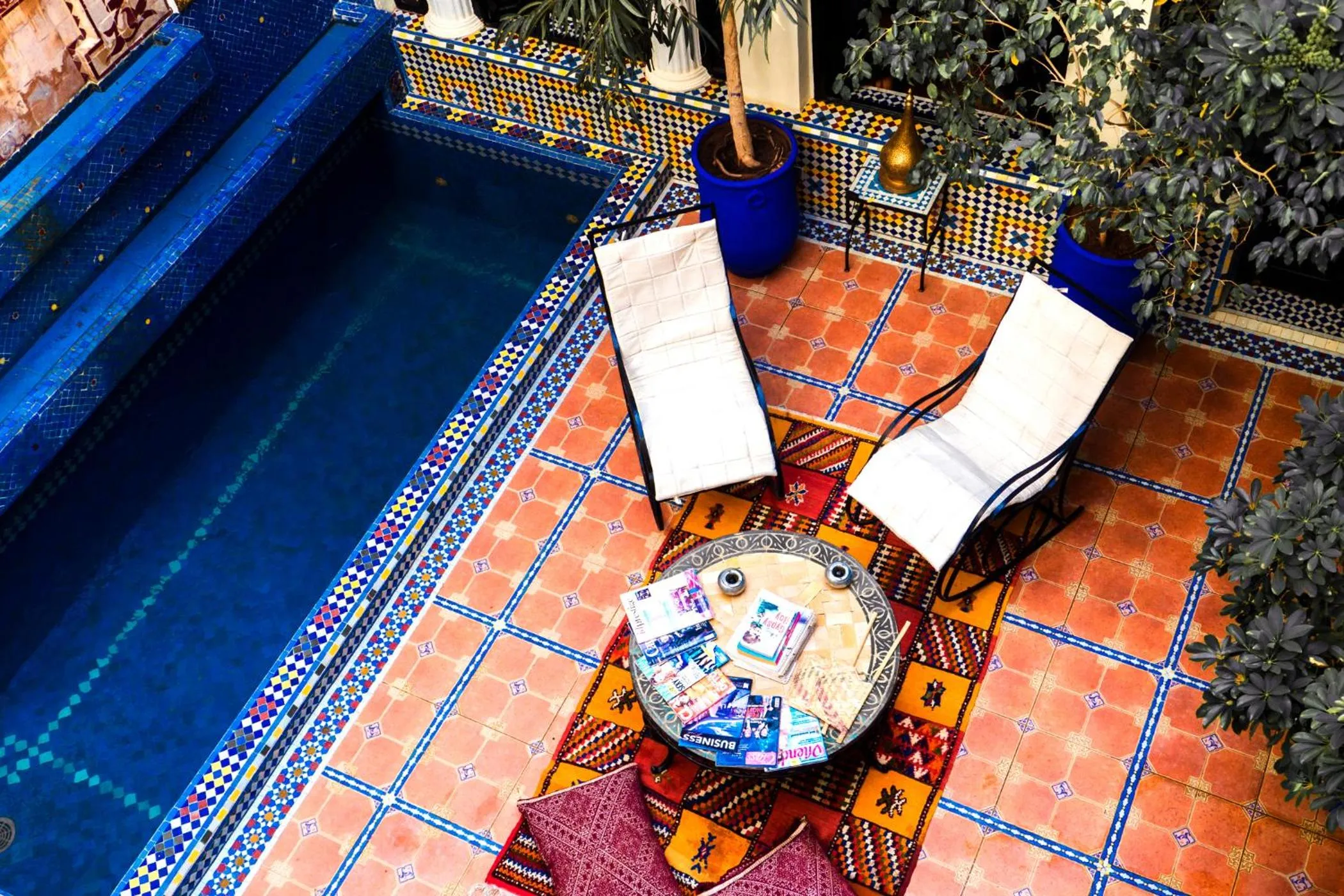 Garden in Riad 58 Blu