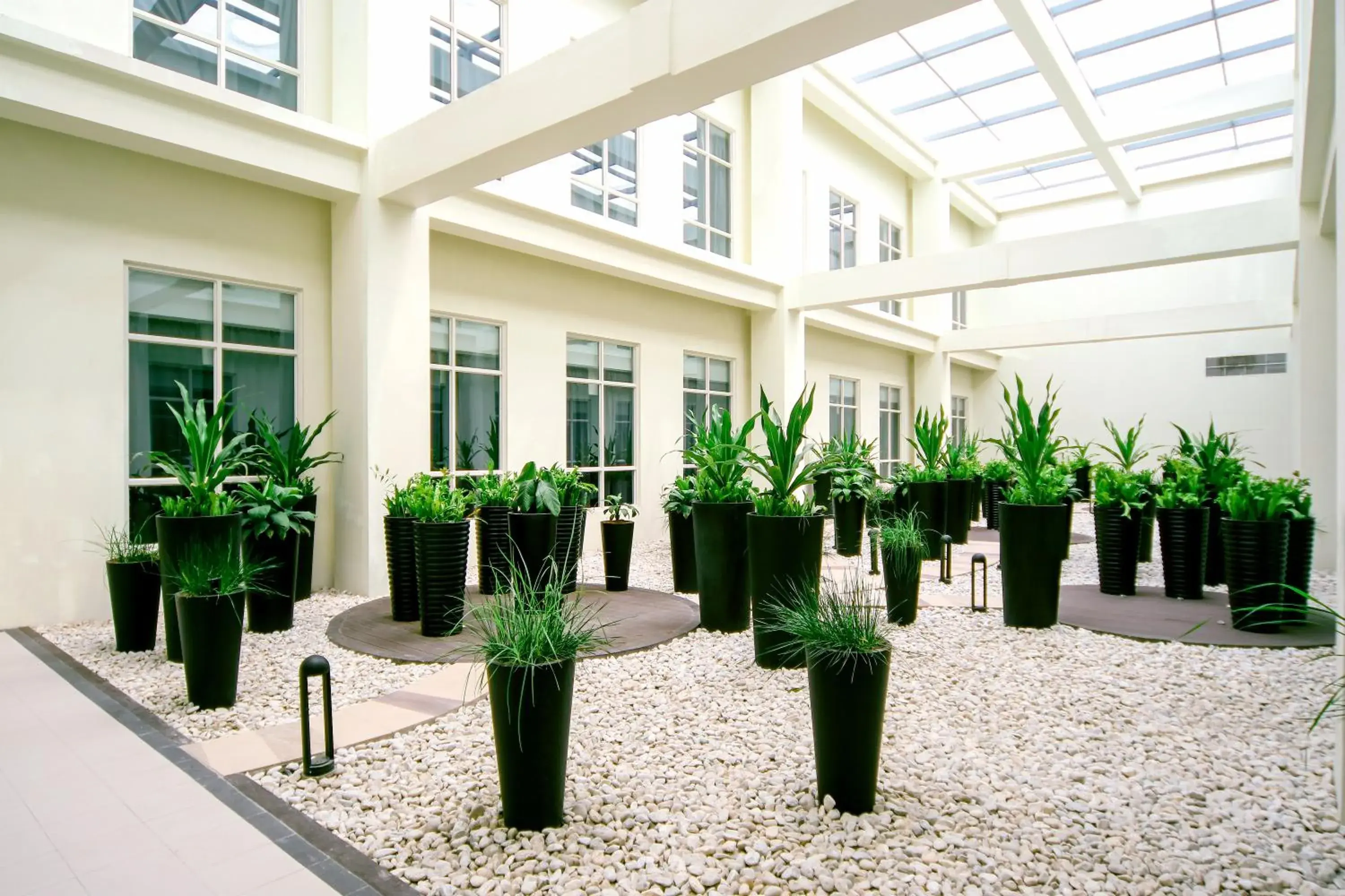 Garden in Hotel Lucky Chinatown