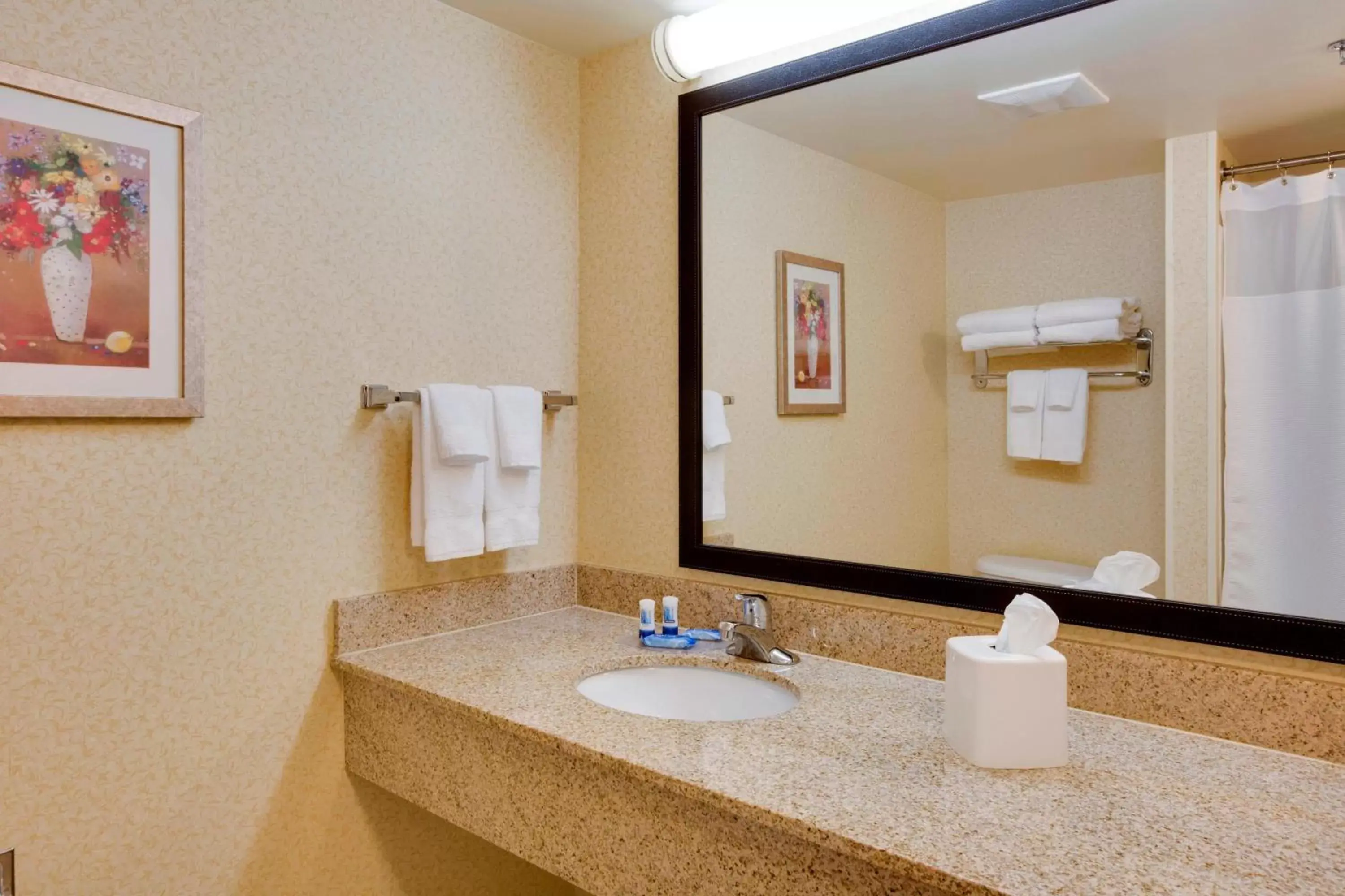 Bathroom in Fairfield Inn and Suites South Hill I-85