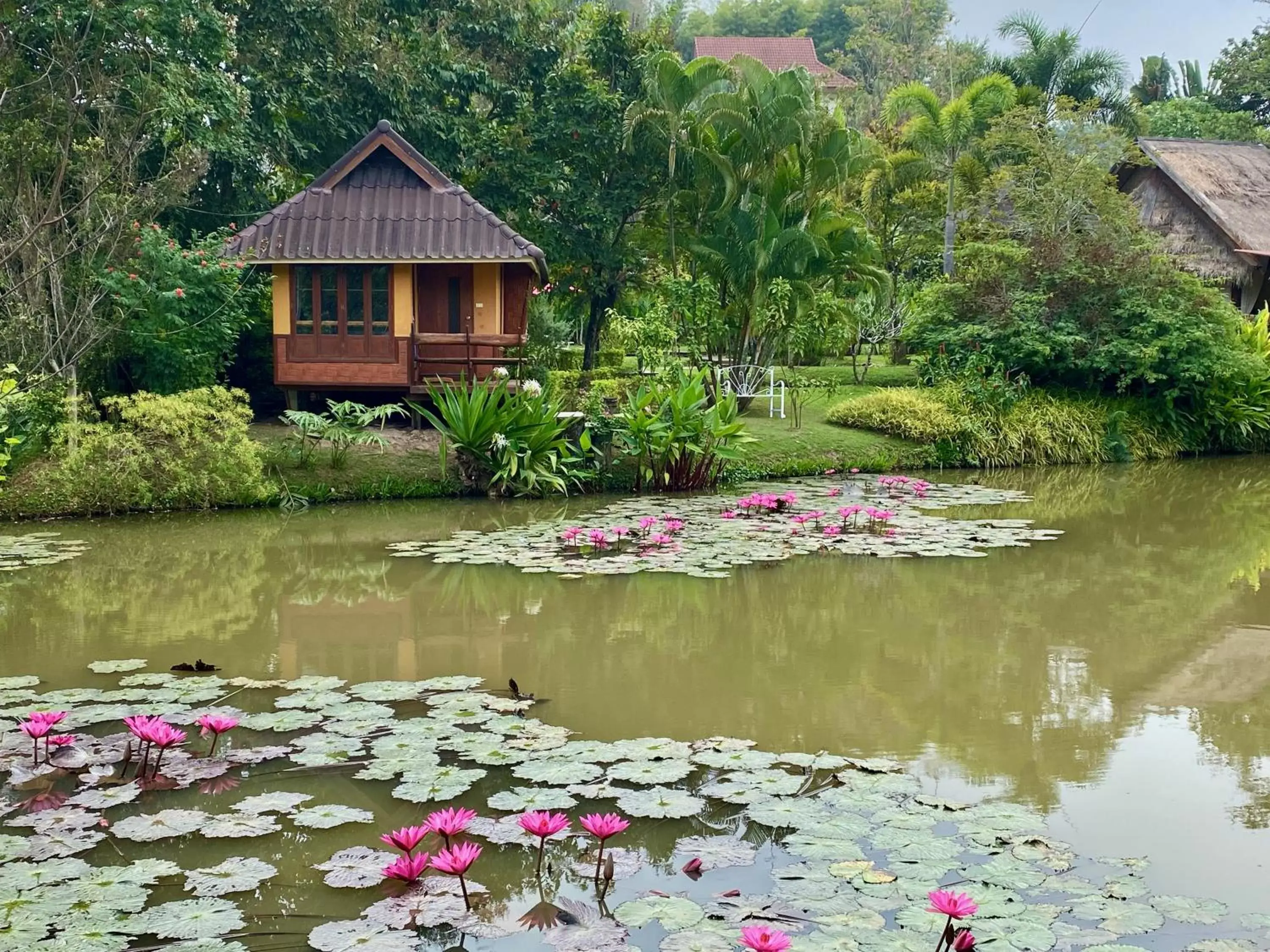 Property building in Pura Vida Pai Resort