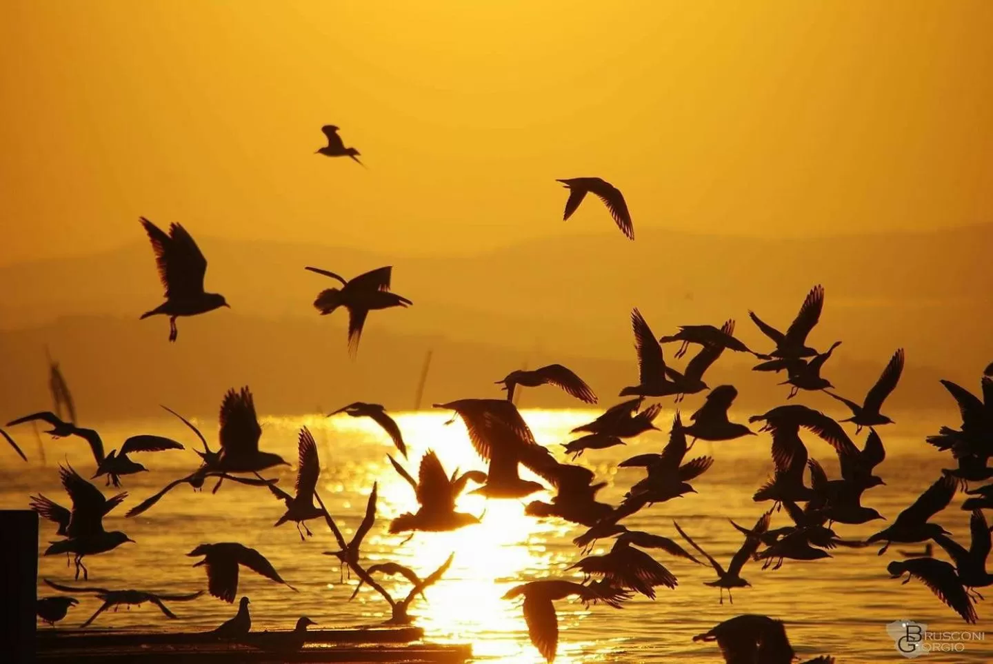 On site in Il Torrione