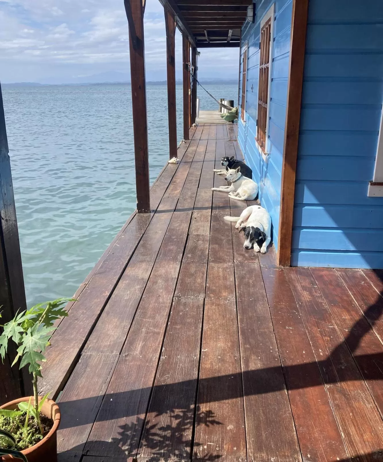 Casa Acuario Boutique Hotel