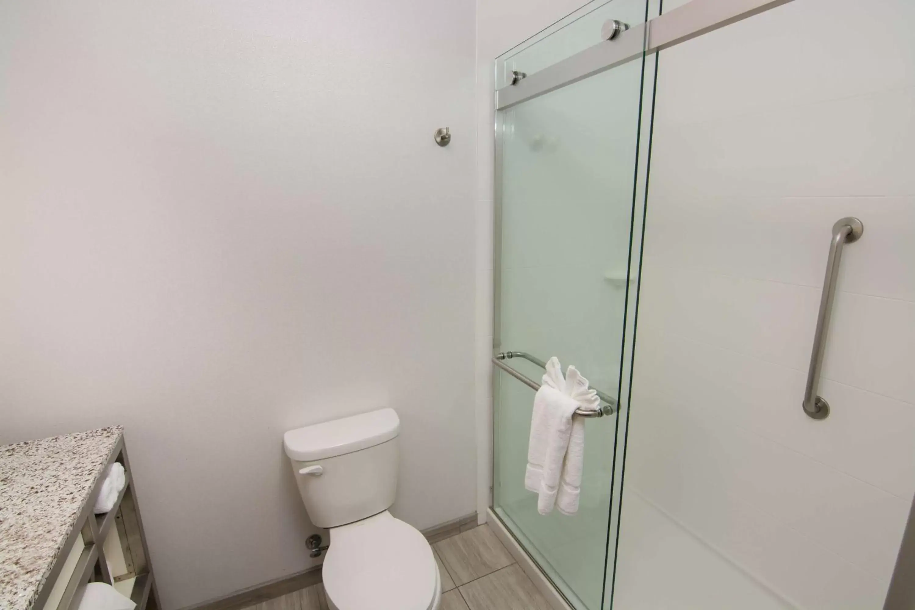 Bathroom in Hilton Garden Inn Tampa Suncoast Parkway