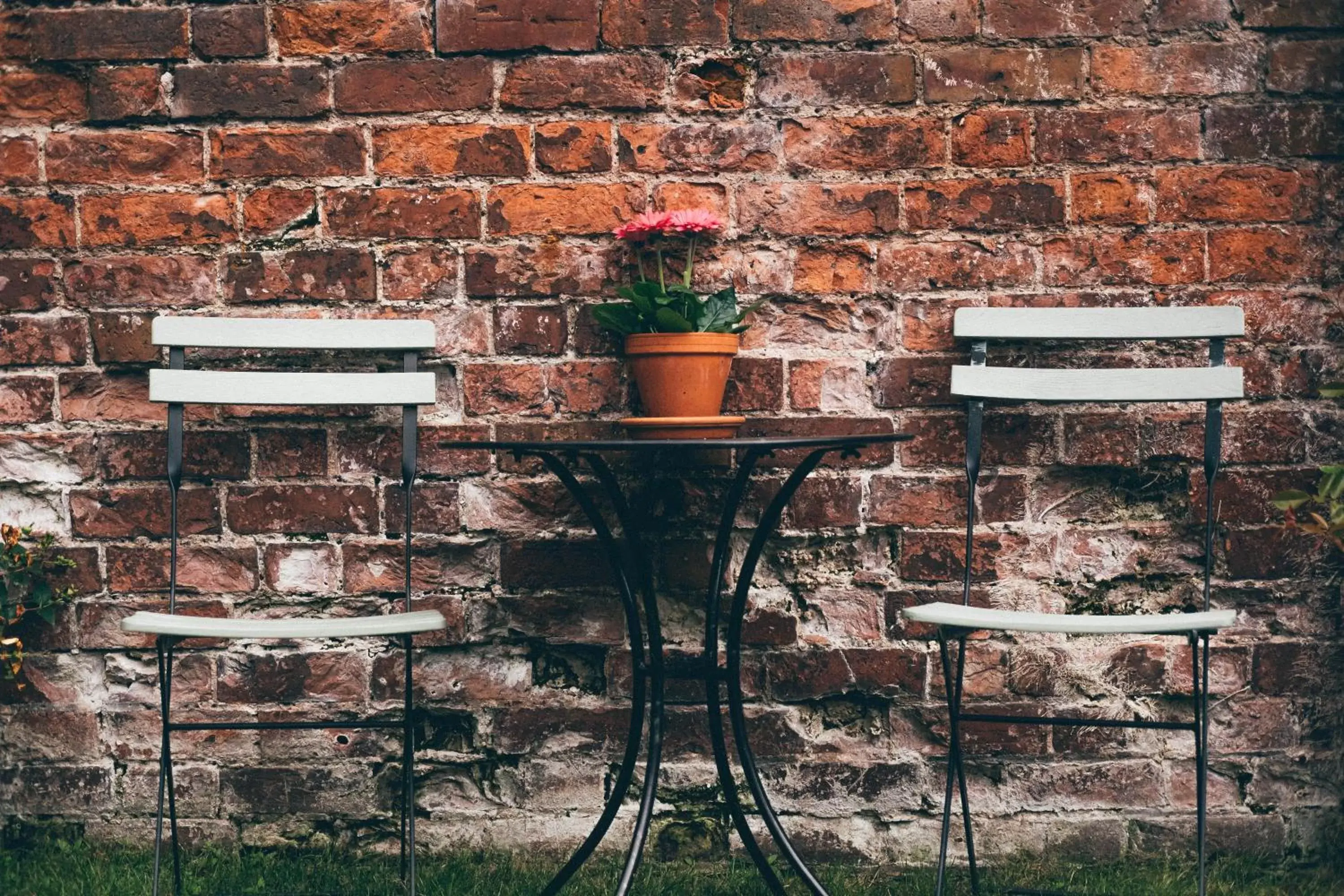 Garden in Darwin's Townhouse