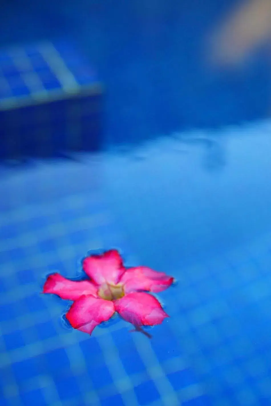 Swimming Pool in Mayfair Resort