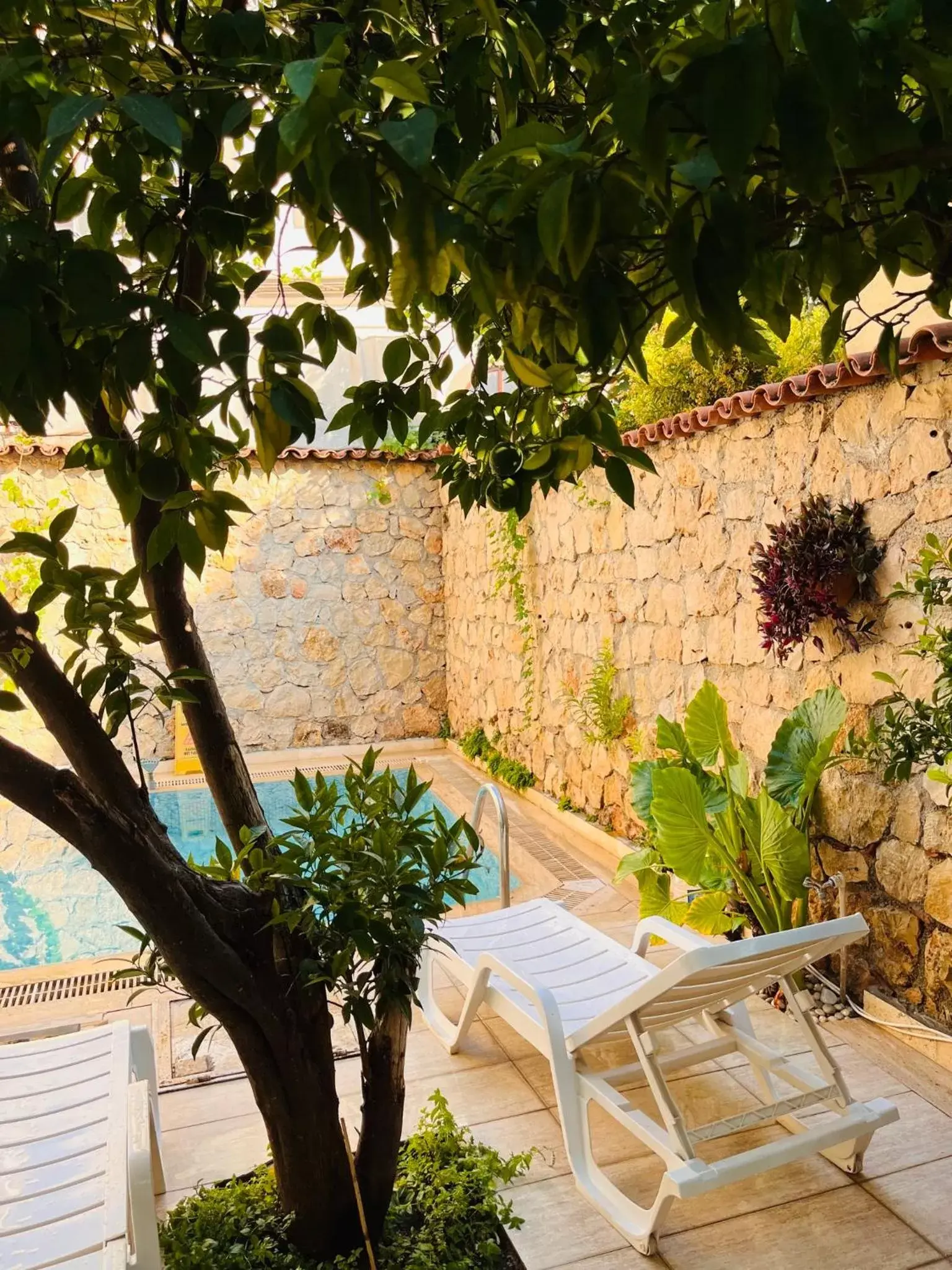 Patio in Kaleici Hotel