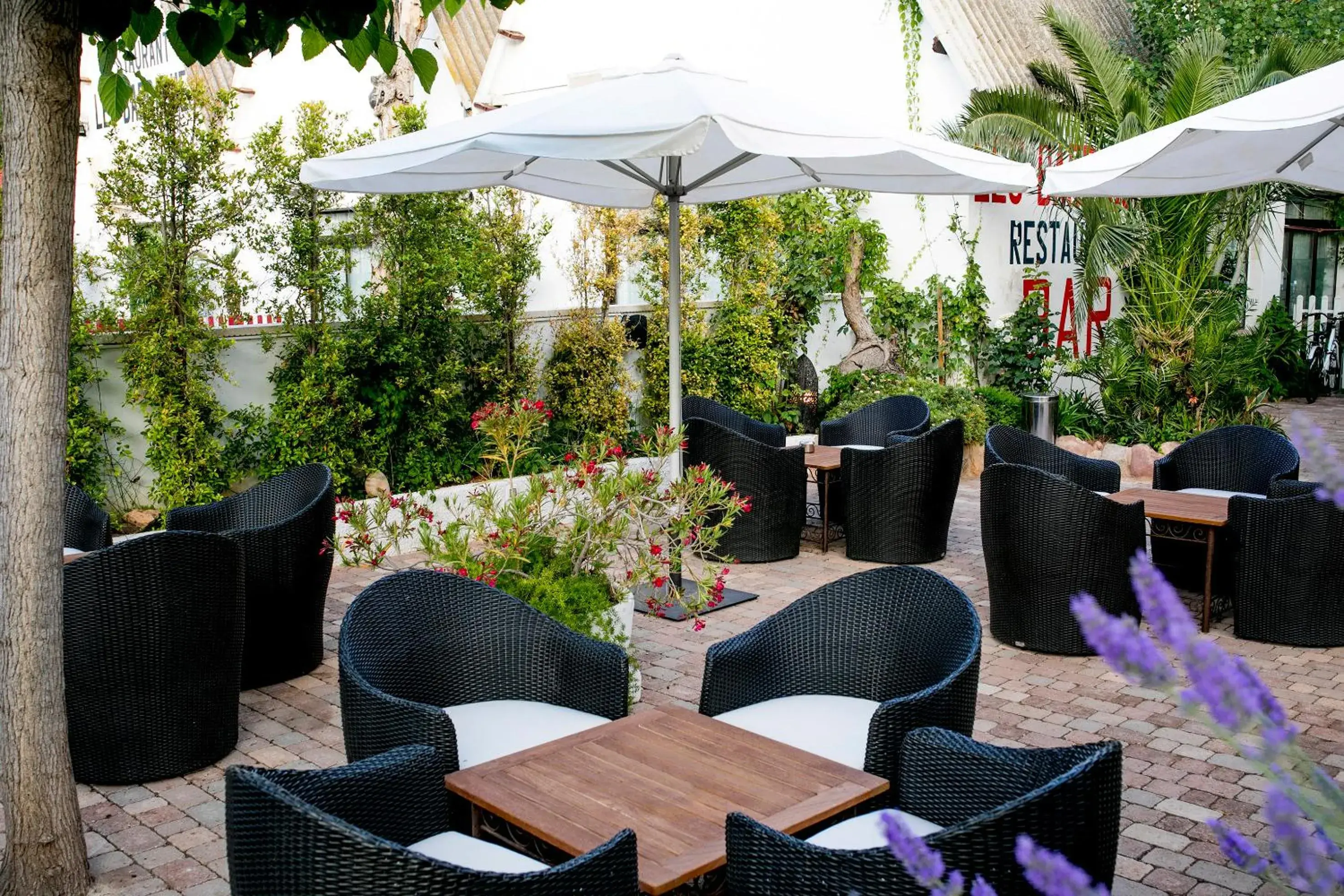 Patio, Restaurant/Places to Eat in Hotel Bersoca