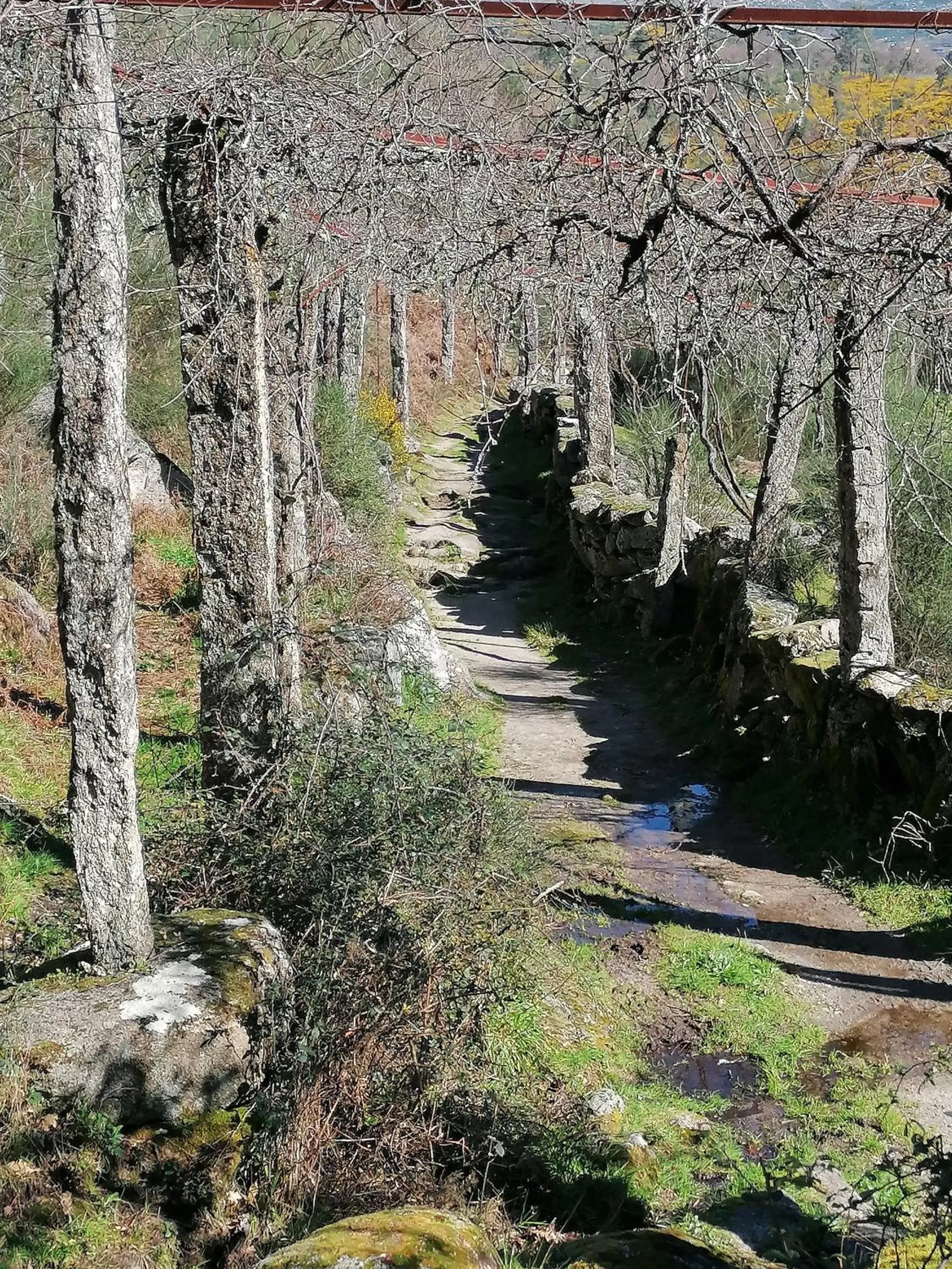 Hiking in Hotel de Charme Casa Fundevila