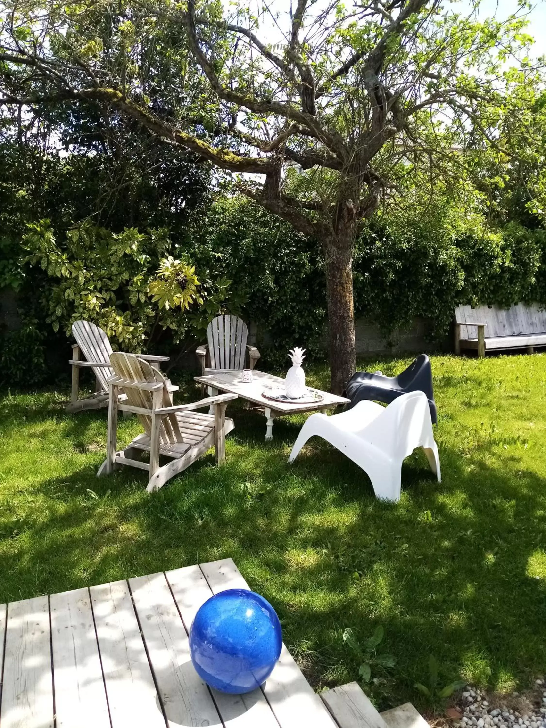 Garden in O Douceurs Sucrées Cabourg