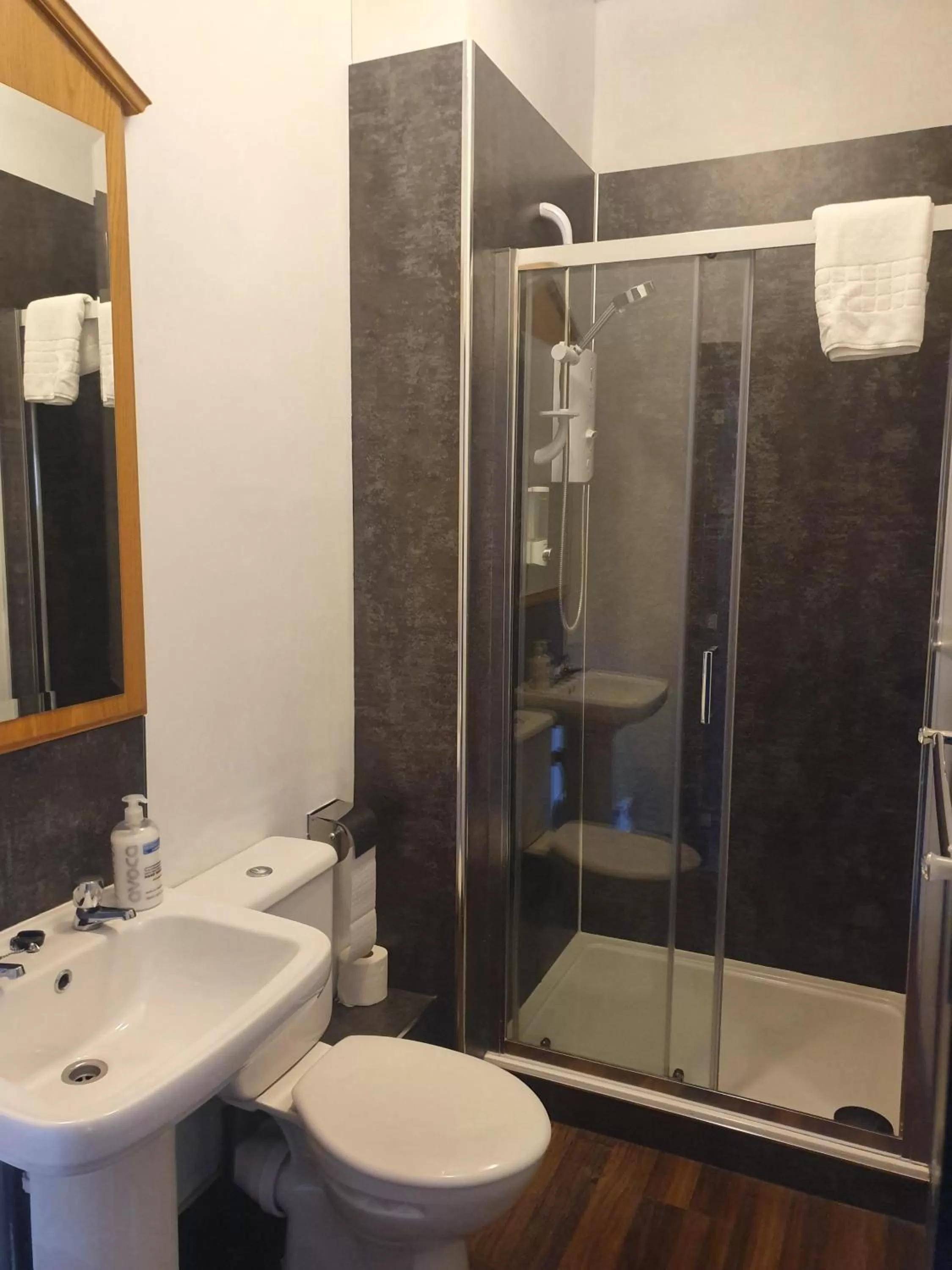 Bathroom in The Punch Bowl