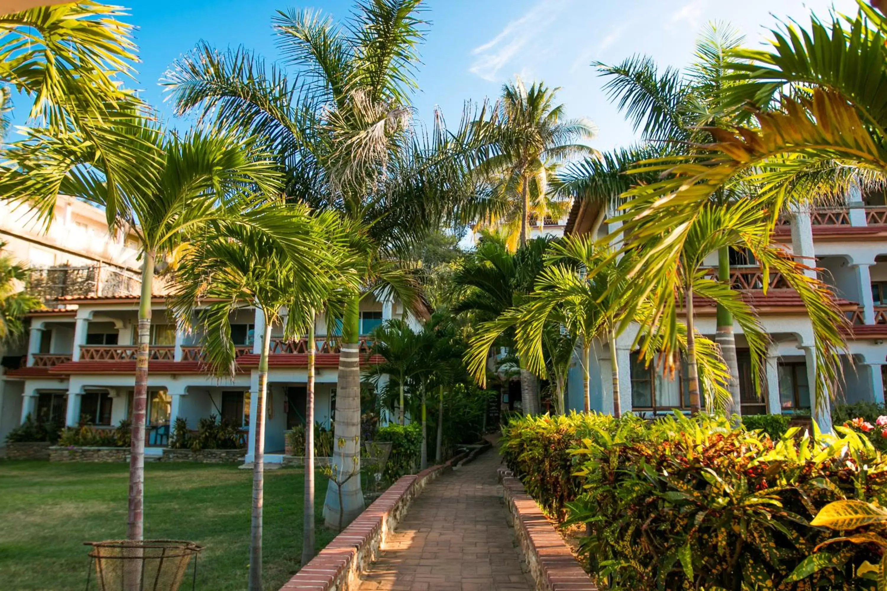 Garden, Property Building in Hotel Arcoiris