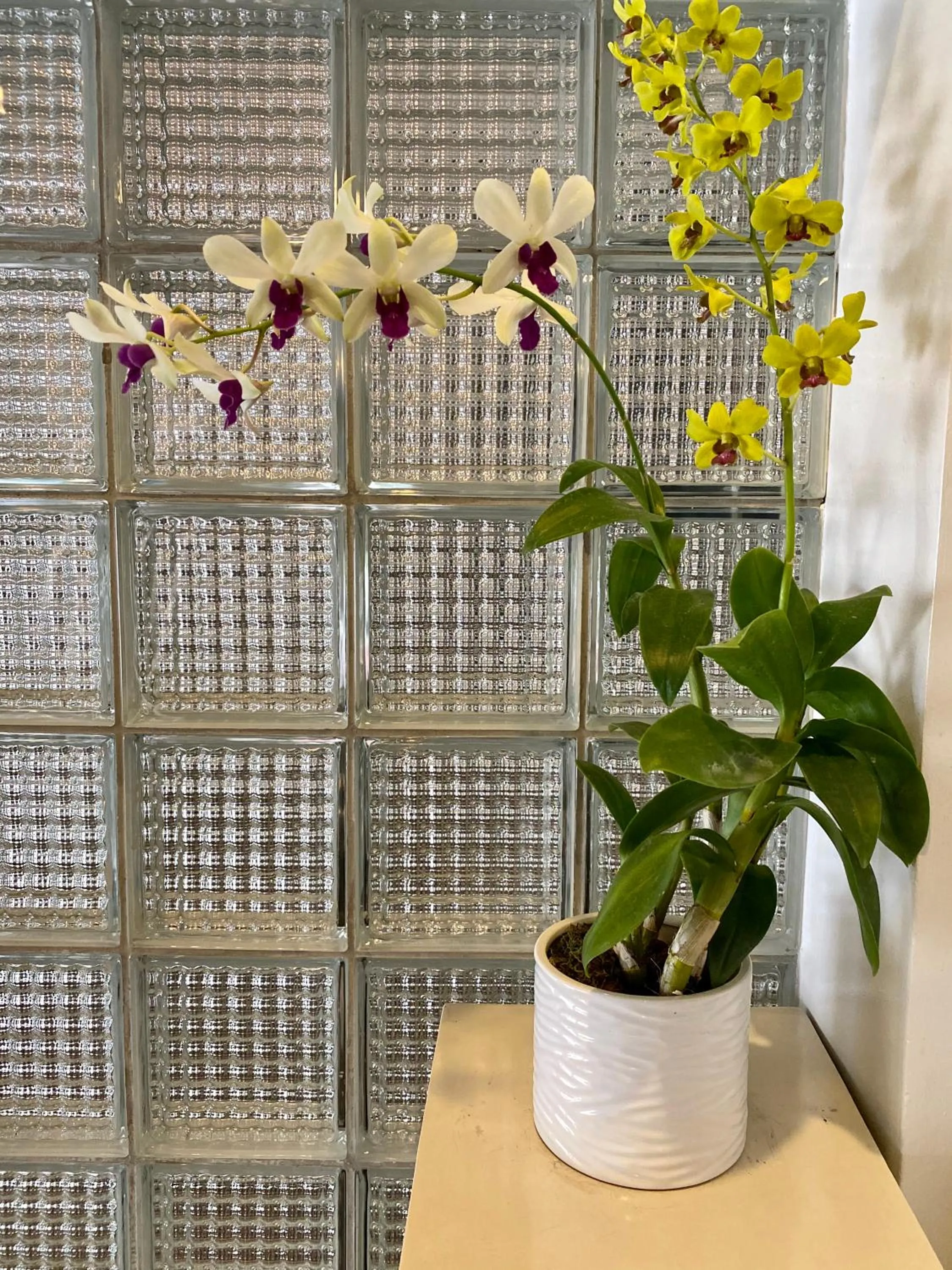 Property building in The Clipper Hotel, Poblacion Makati