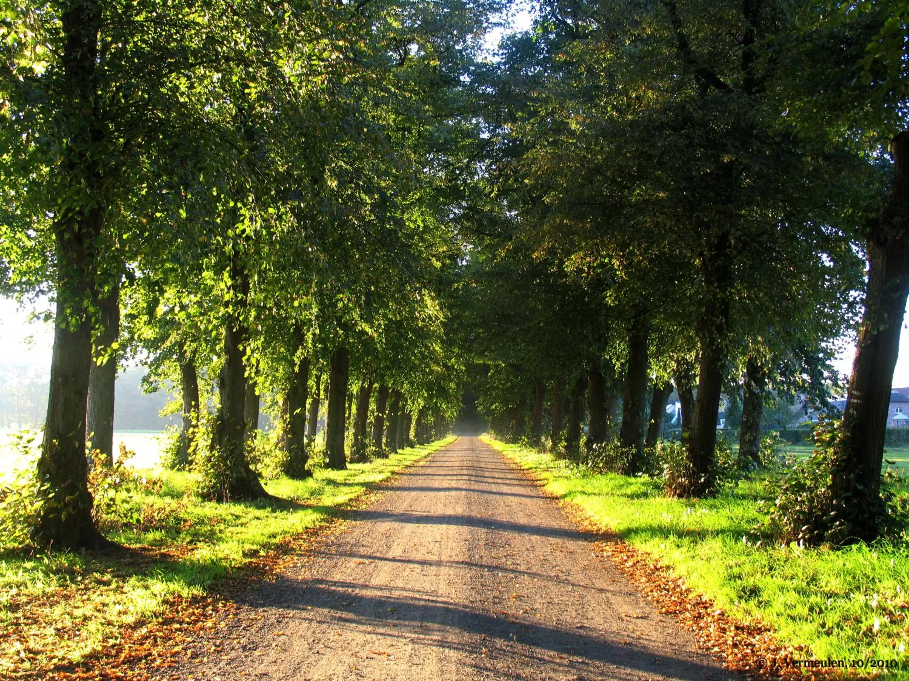 Natural landscape in B&B Het Wouwe