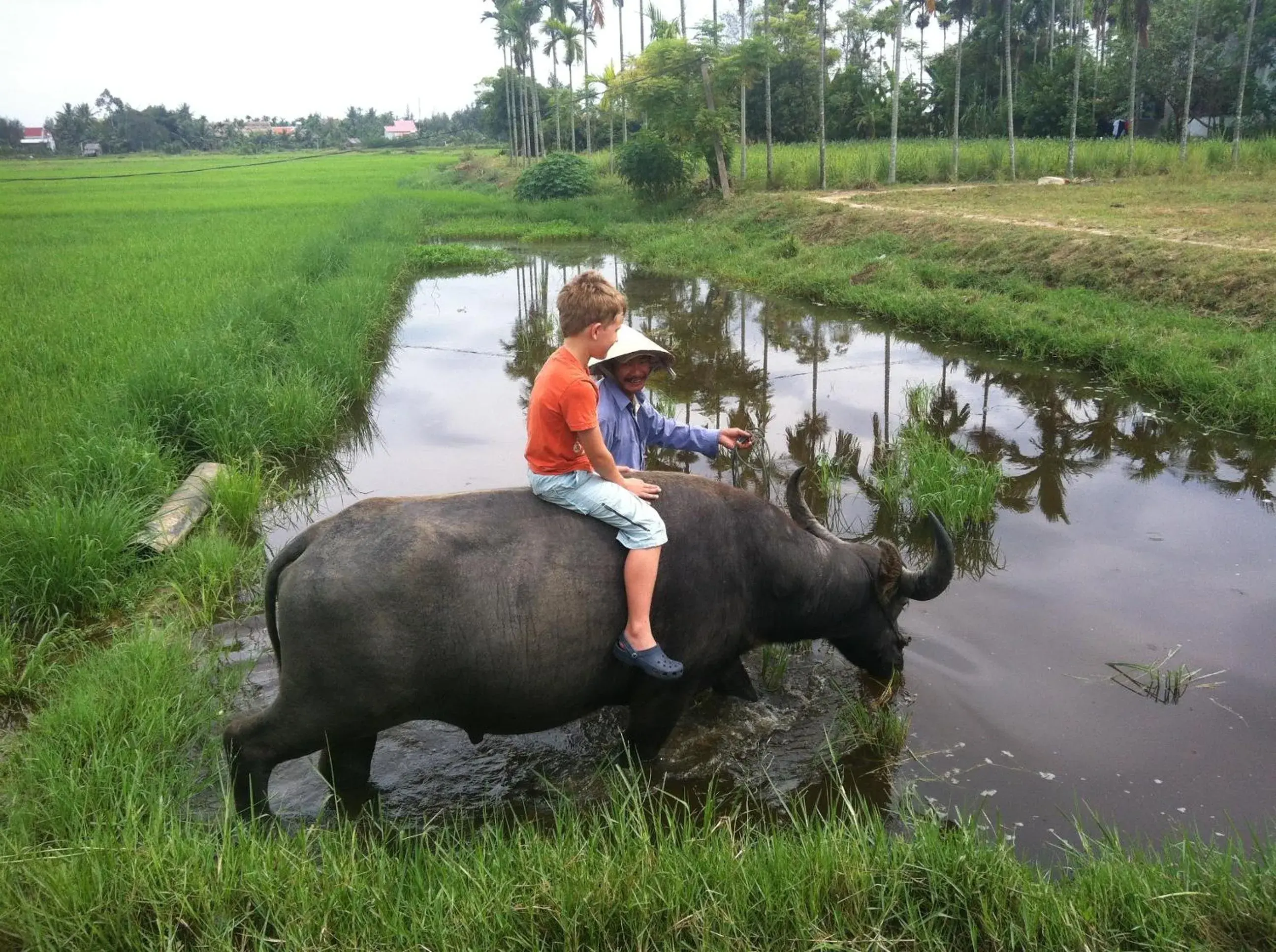 Activities, Other Animals in The Earth Villa