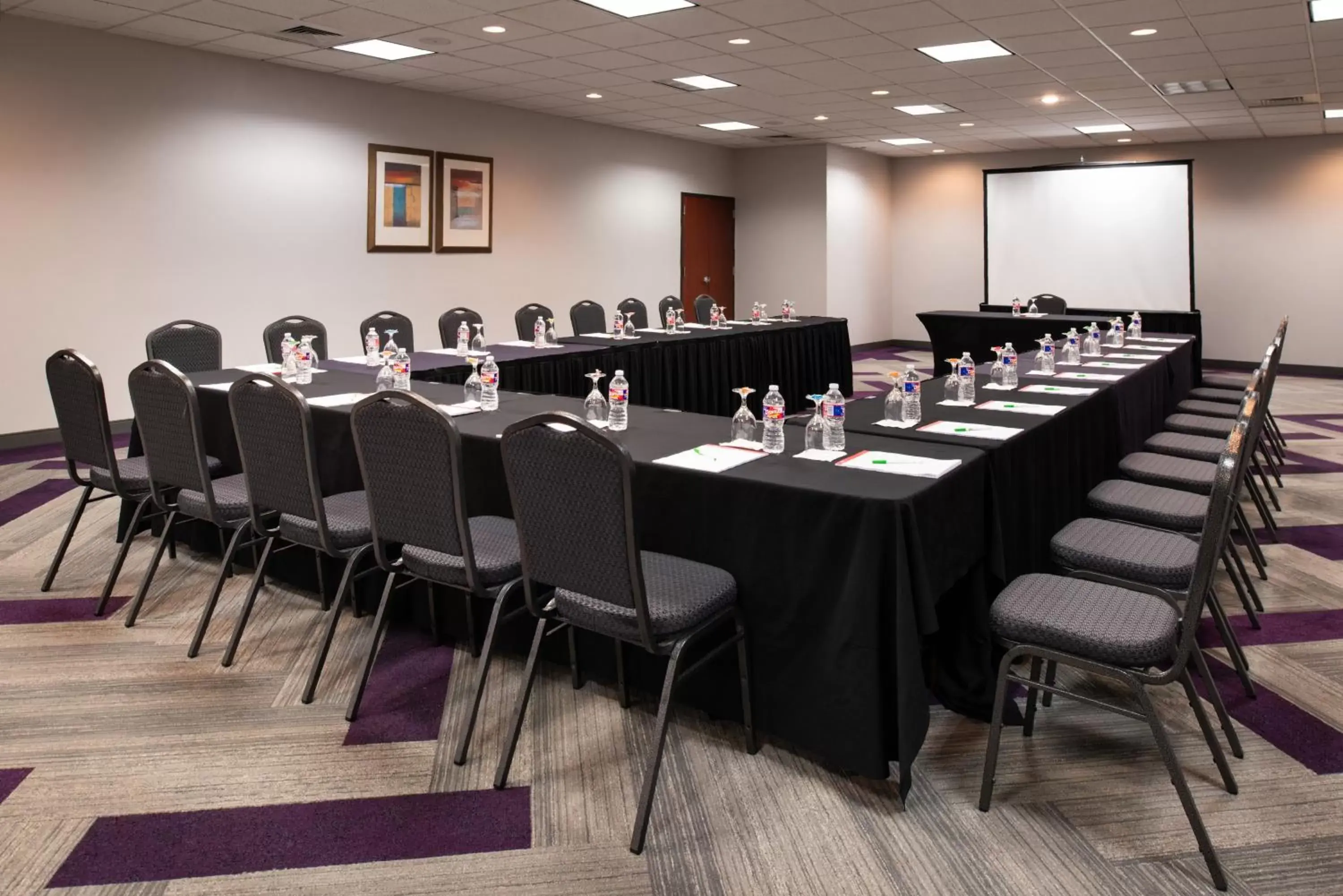 Meeting/conference room in Holiday Inn Hotel and Suites Beaumont-Plaza I-10 & Walden, an IHG Hotel