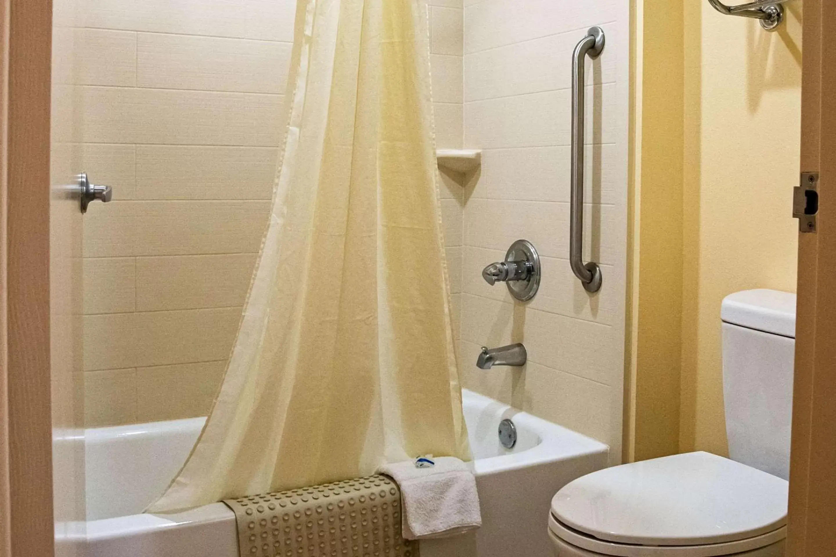 Bathroom in Rodeway Inn & Suites