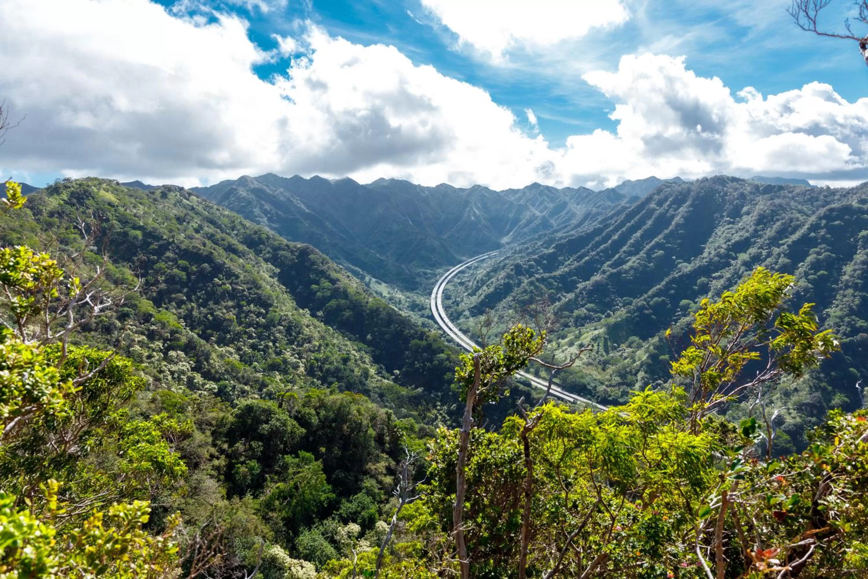 Activities in Wayfinder Waikiki - Voted Top 10 Best Hotels in Hawaii!