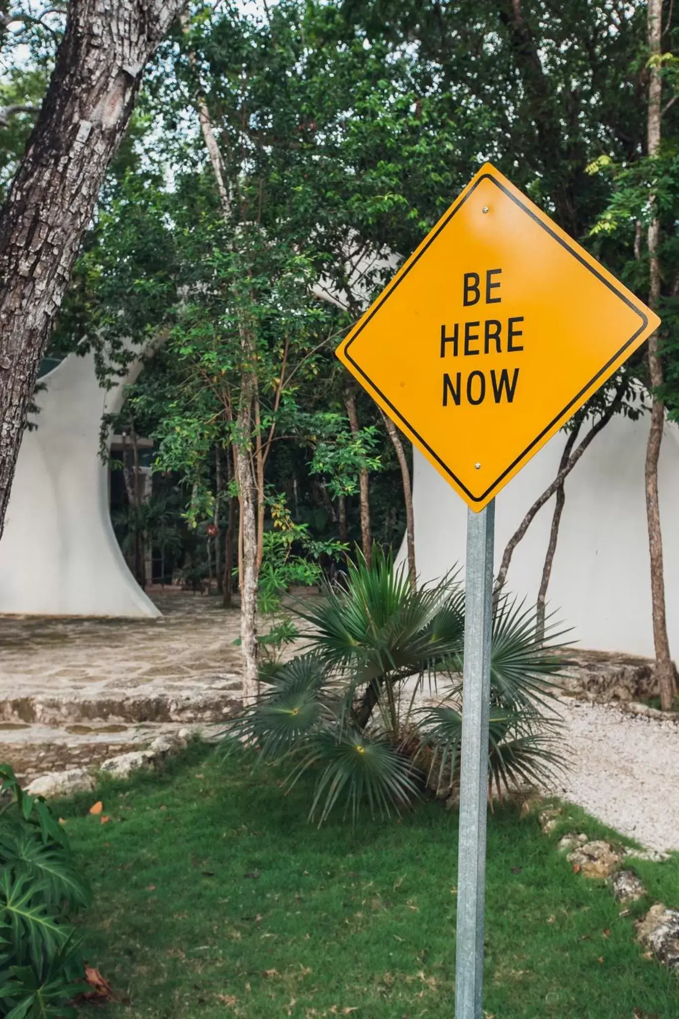 Property building in Hotel Holistika Tulum