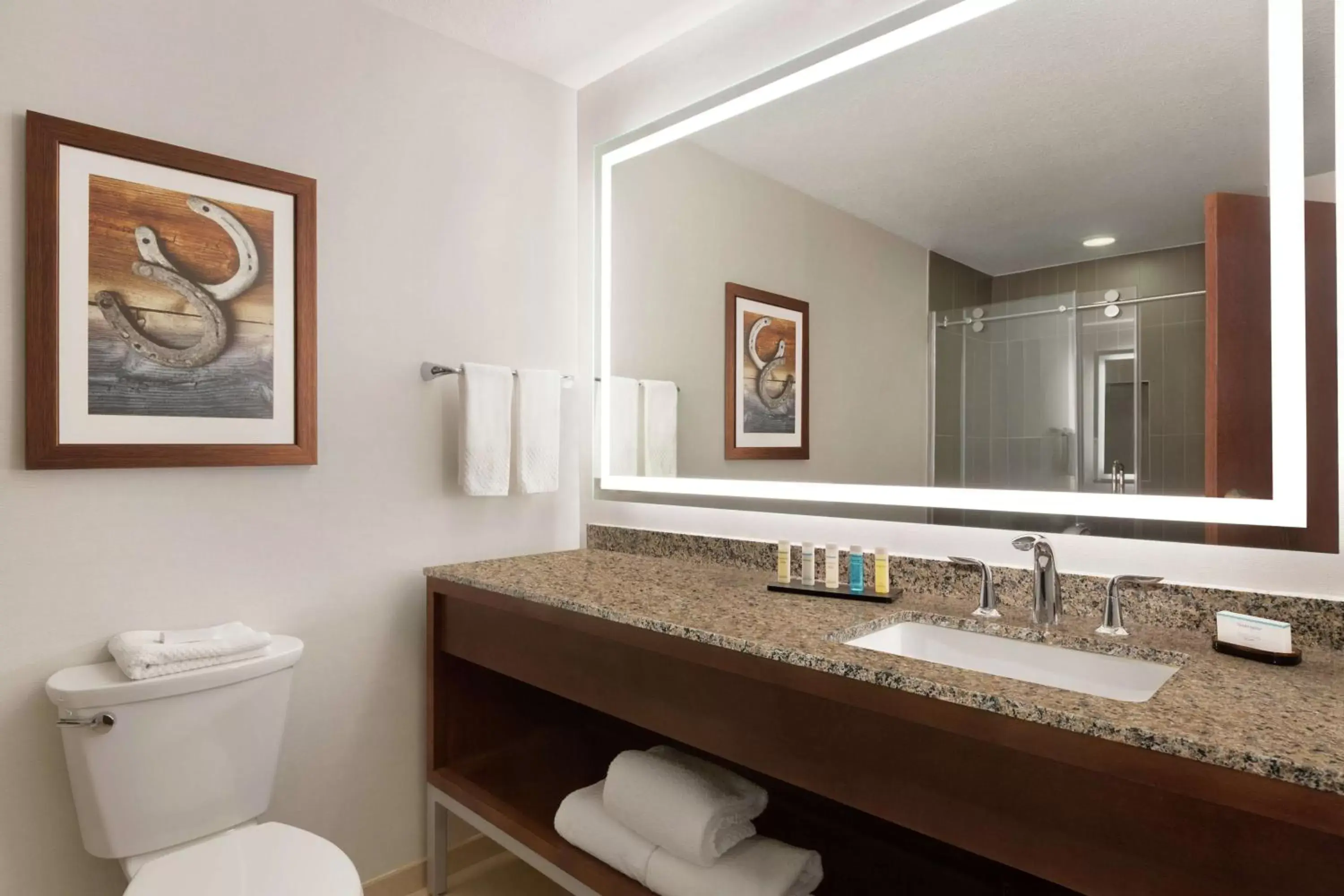 Bathroom in Embassy Suites Dallas - DFW Airport North