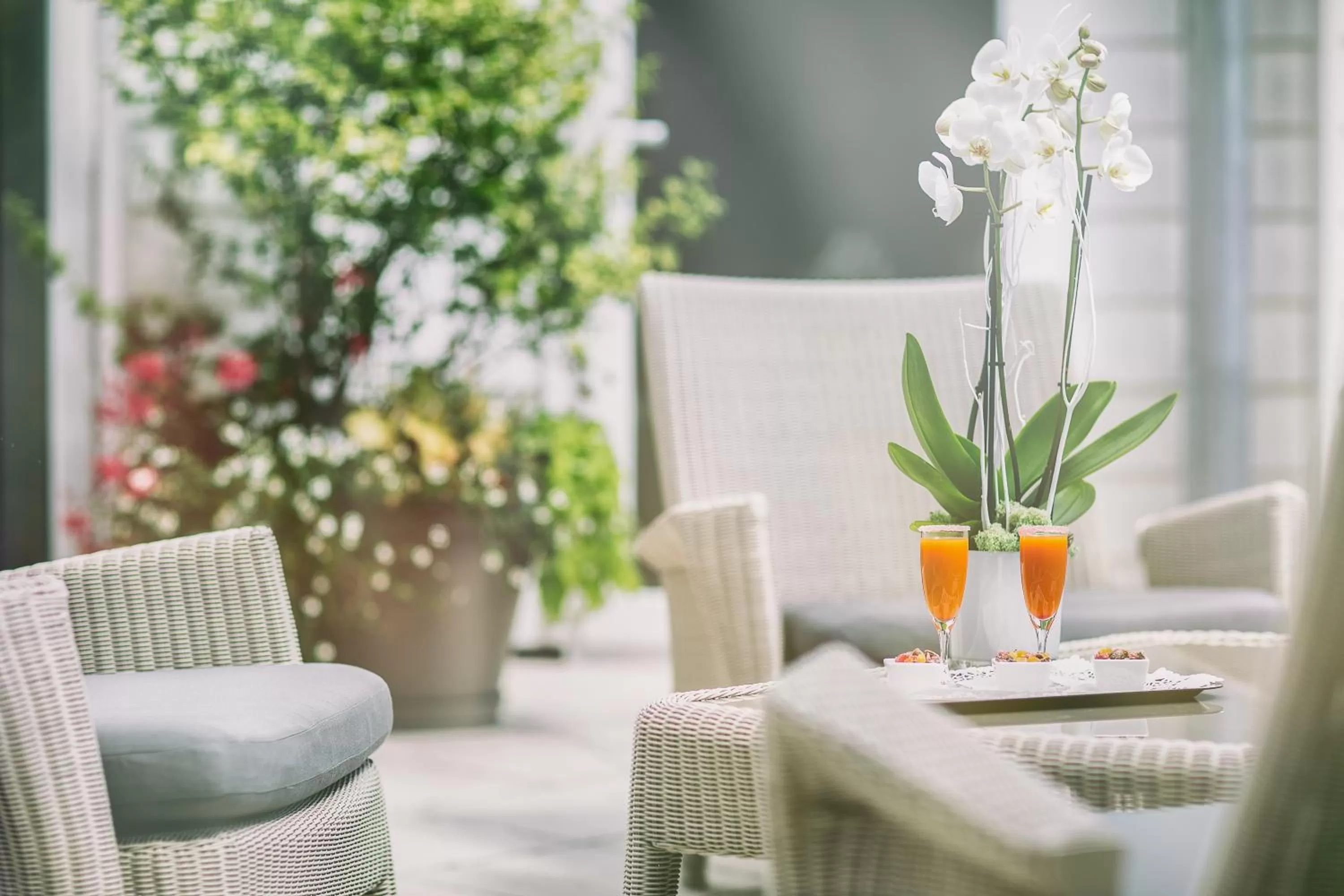 Patio in Best Western Plus Richelieu