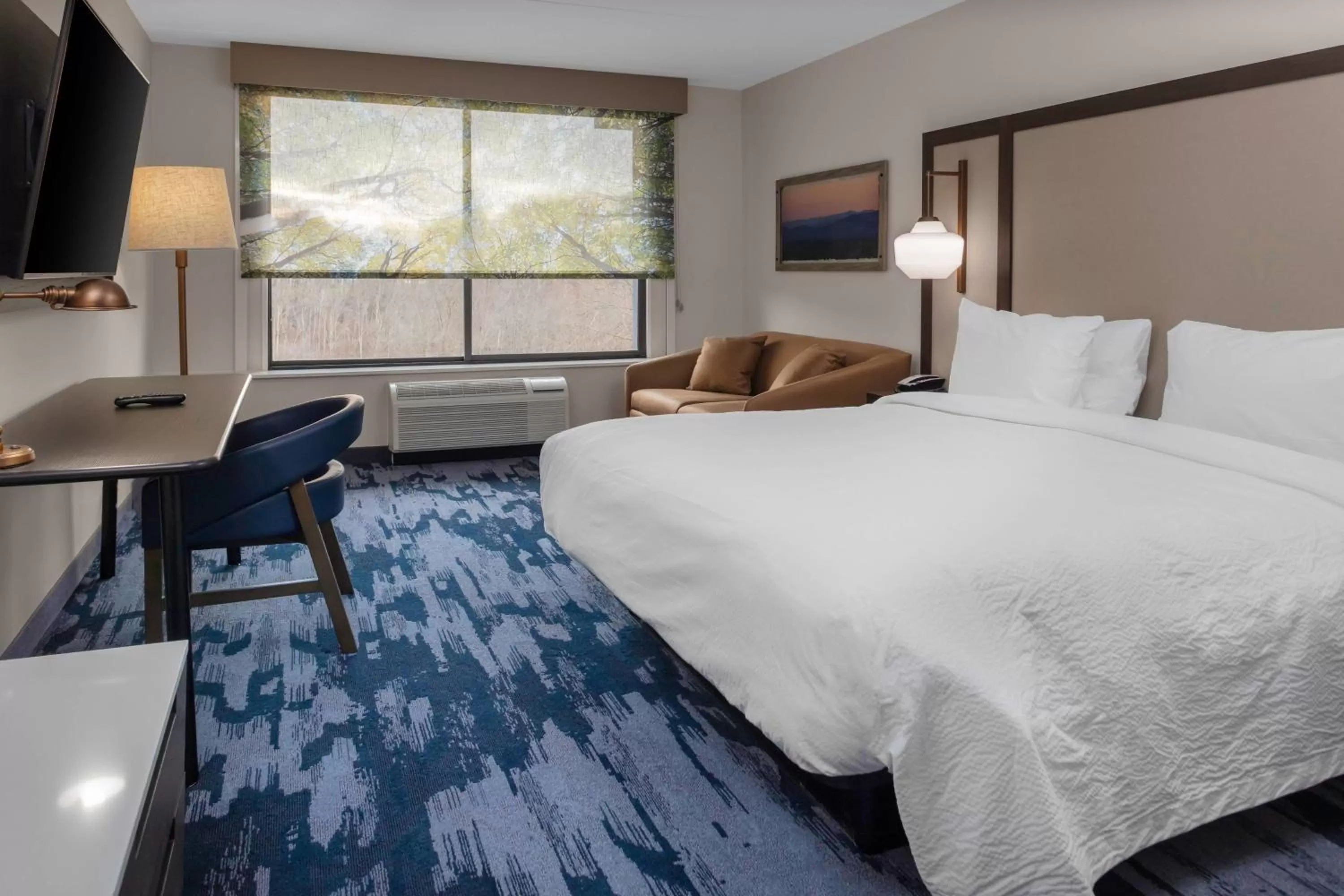 King Room with Garden View in Fairfield Inn & Suites Springfield Enfield