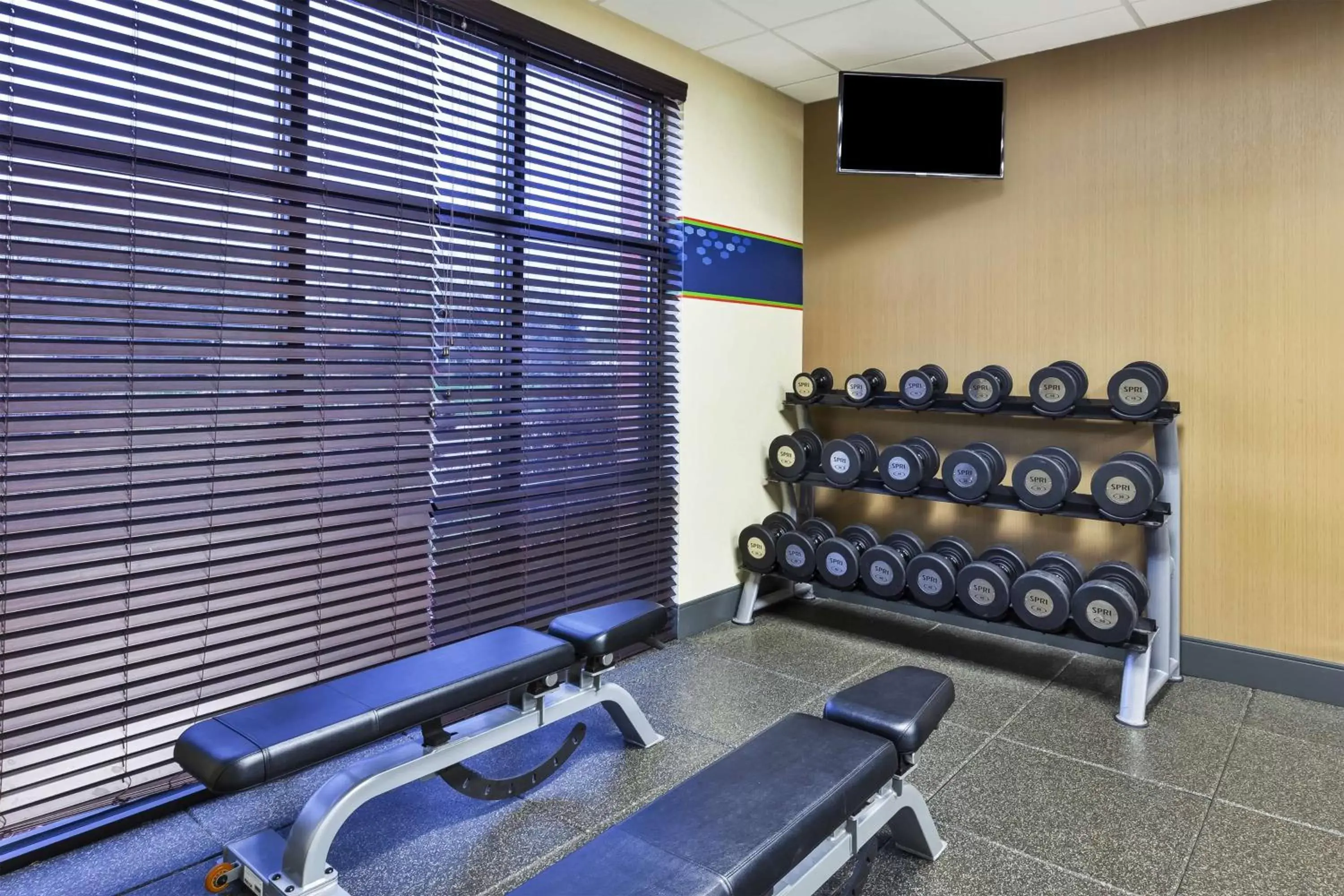 Fitness centre/facilities, Fitness Center/Facilities in Hampton Inn Detroit/Southgate