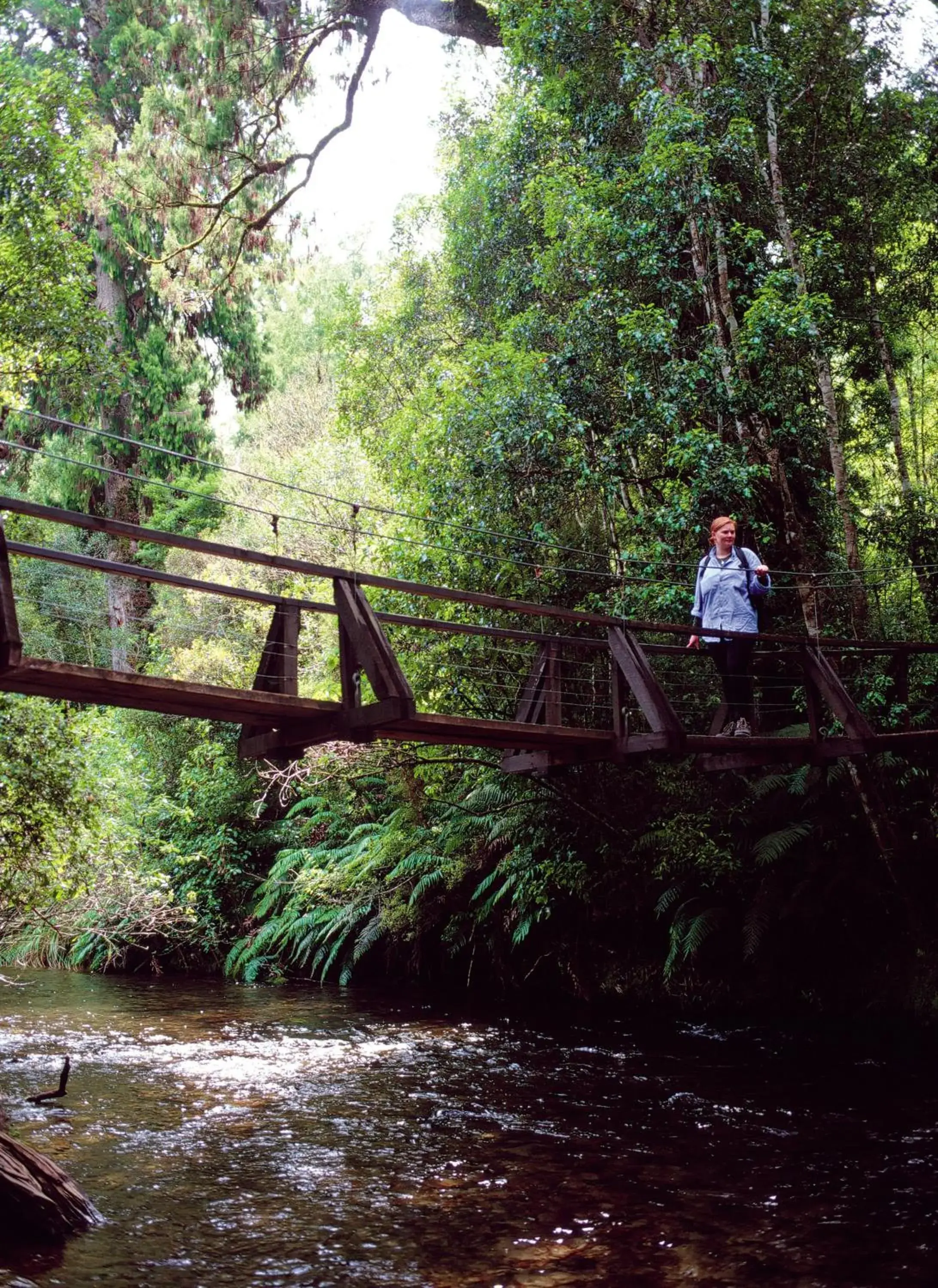 Hiking in Parklands Motorlodge & Holiday Park