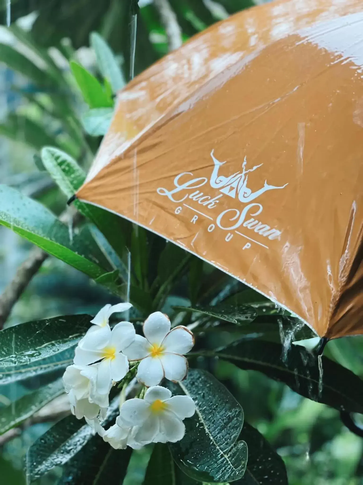 Property building in Luckswan Resort Chiang Rai - SHA Extra Plus Property building in Luckswan Resort Chiang Rai - SHA Extra Plus