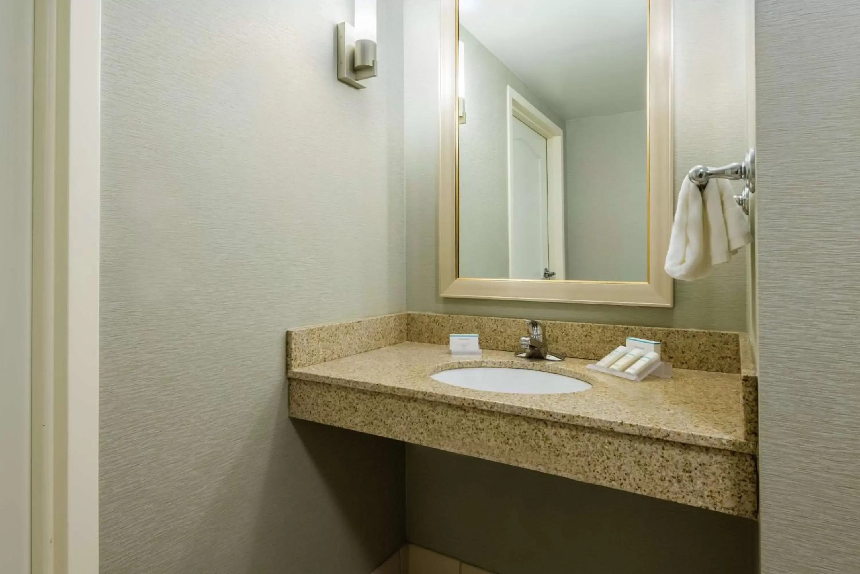 Bathroom in Hilton Garden Inn Orlando International Drive North