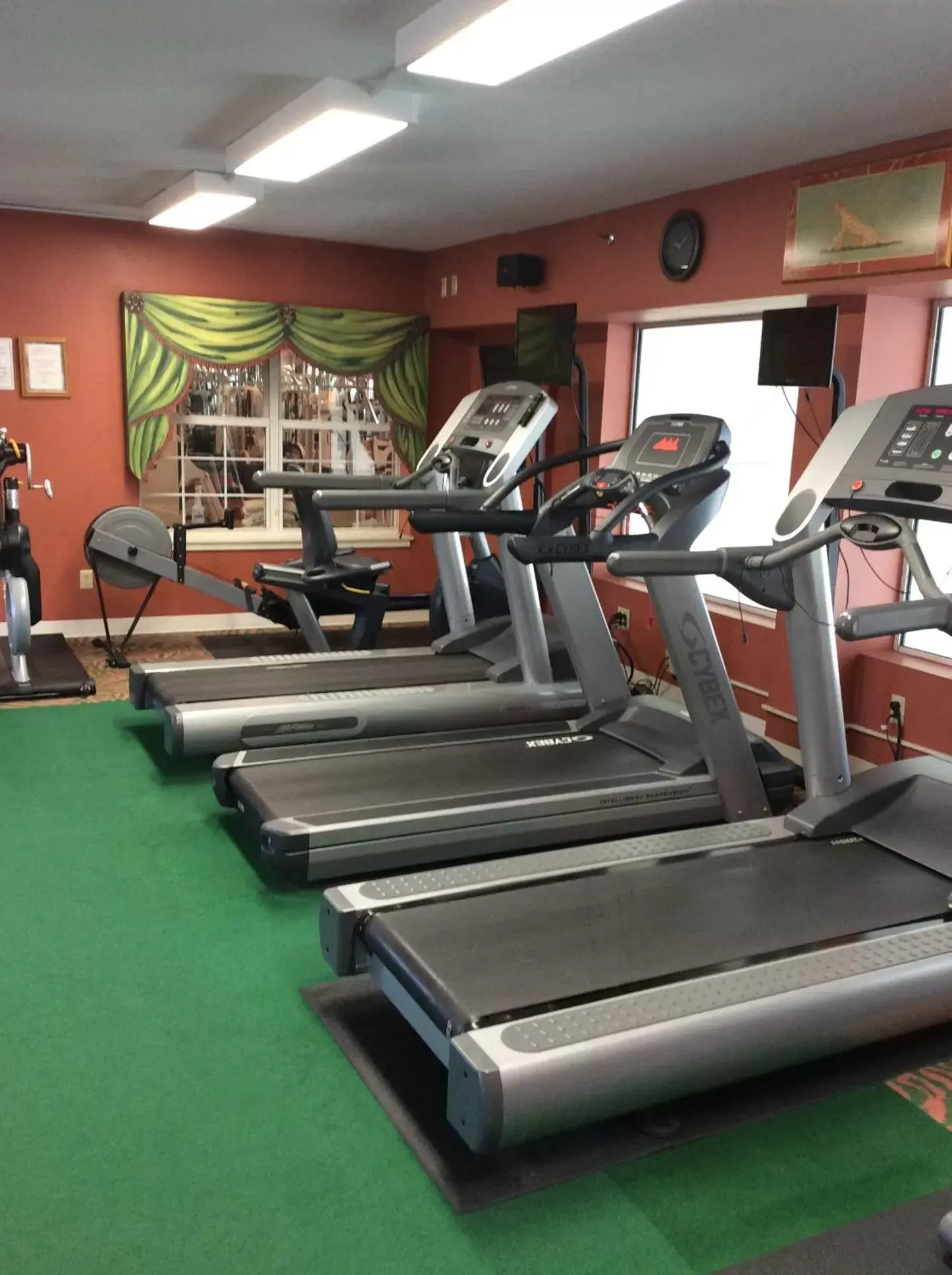 Fitness centre/facilities, Fitness Center/Facilities in Senator Inn & Spa