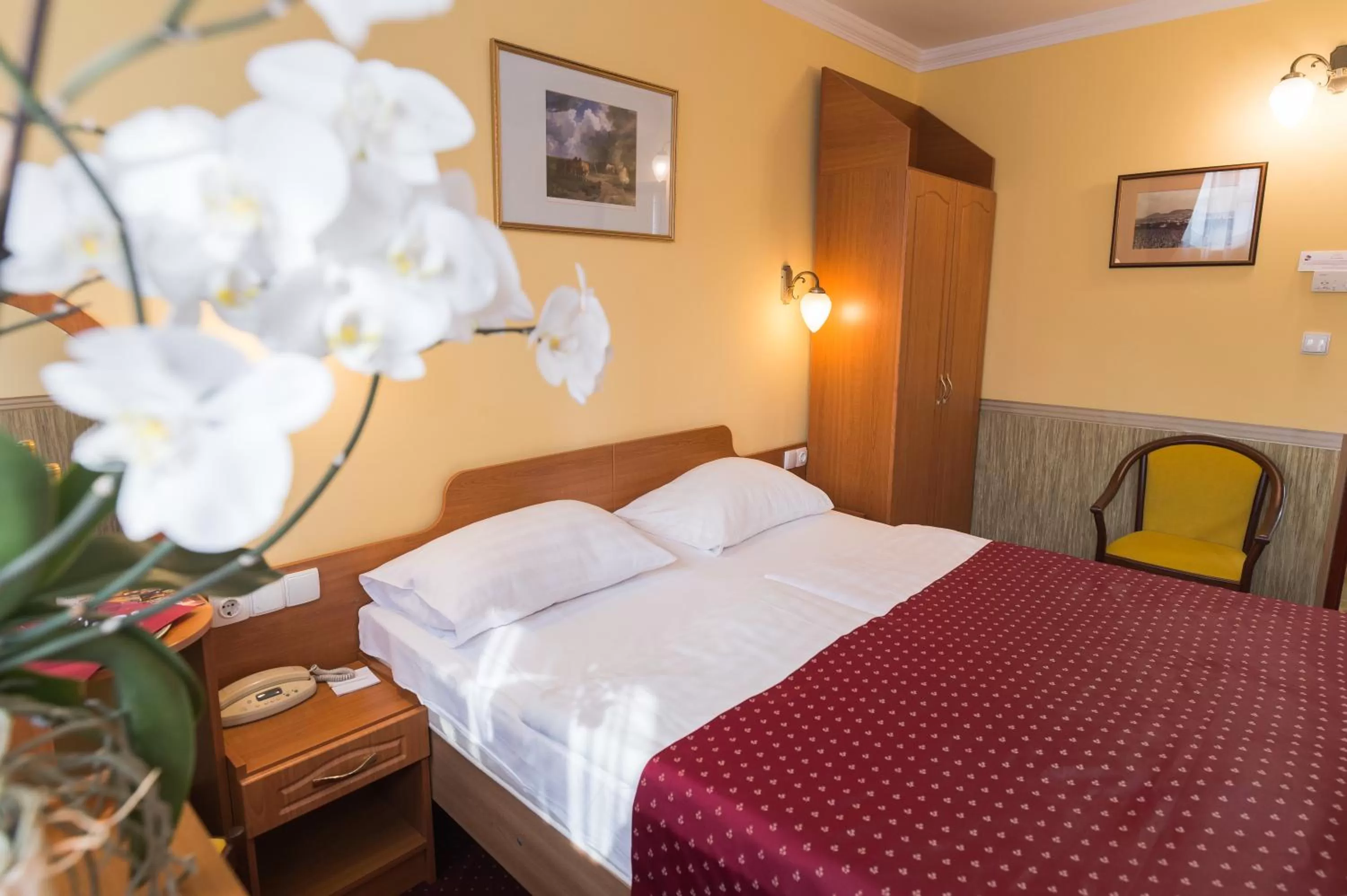 Classic Double or Twin Room - single occupancy in Hotel Korona Wellness, Rendezvény és Borszálloda