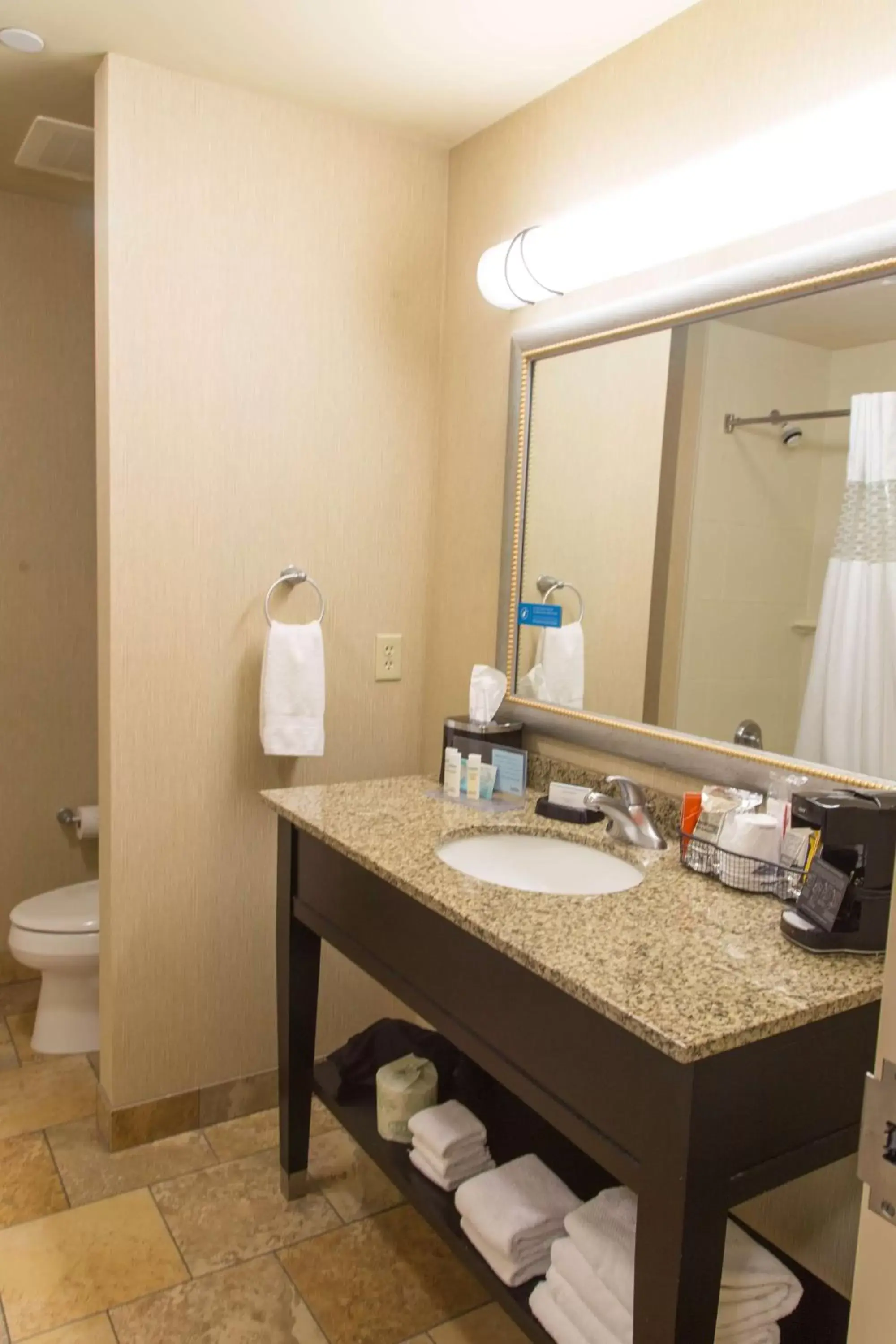 Bathroom in Hampton Inn & Suites Dodge City