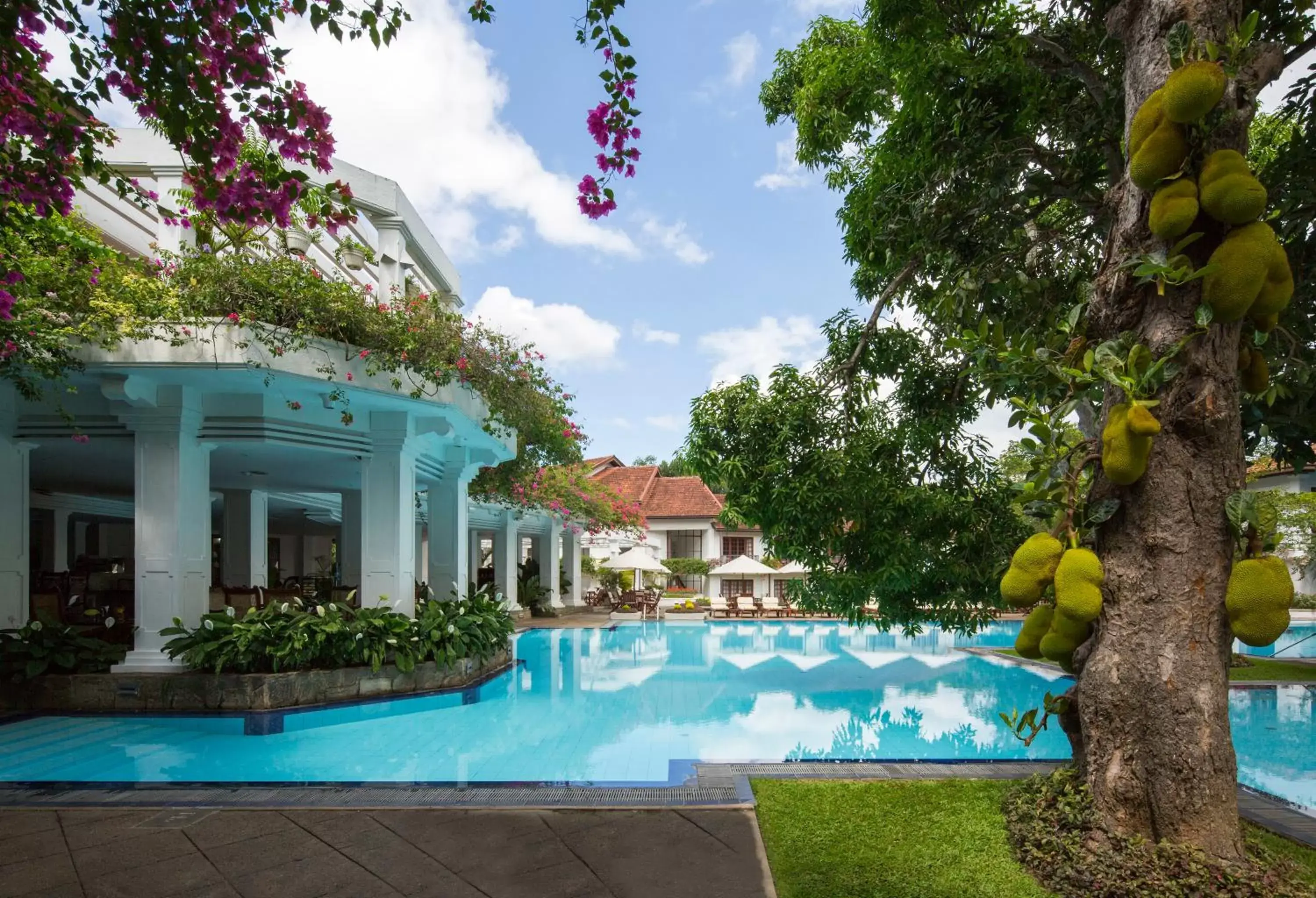 Swimming Pool in Mahaweli Reach Hotel