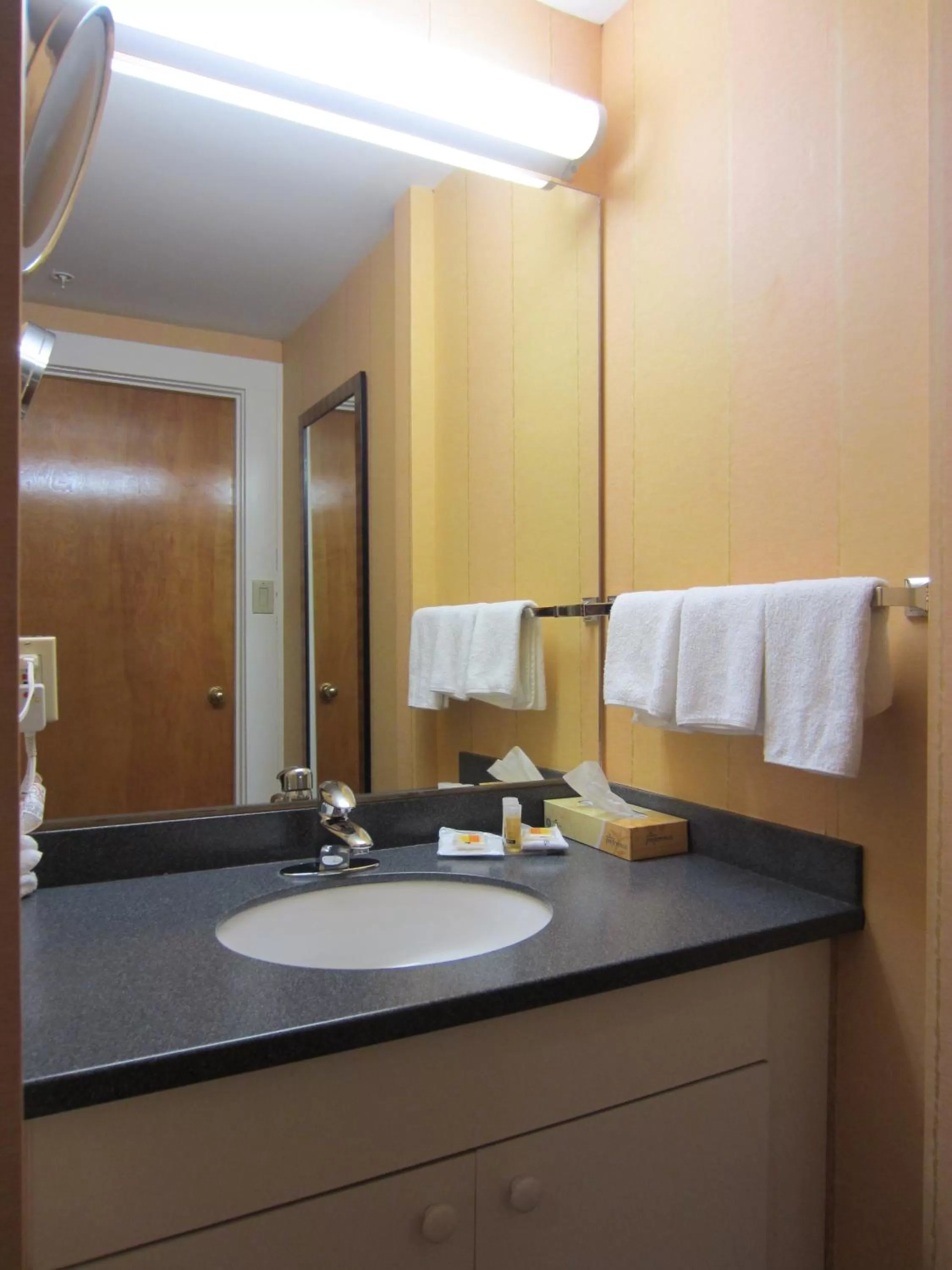 Double Room - Non-Smoking  in Days Inn by Wyndham Vancouver Downtown