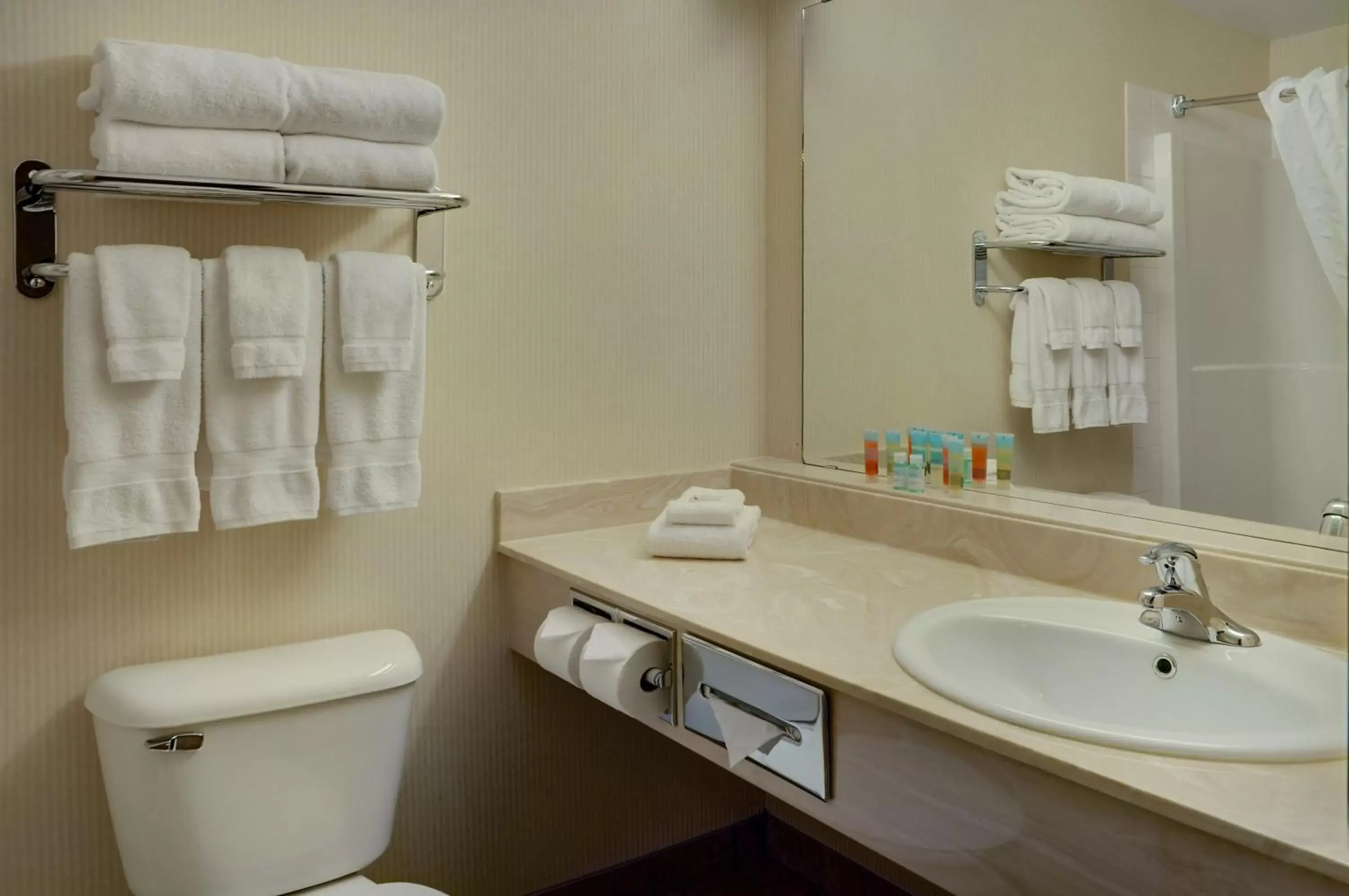 Bathroom in Pomeroy Inn and Suites Dawson Creek