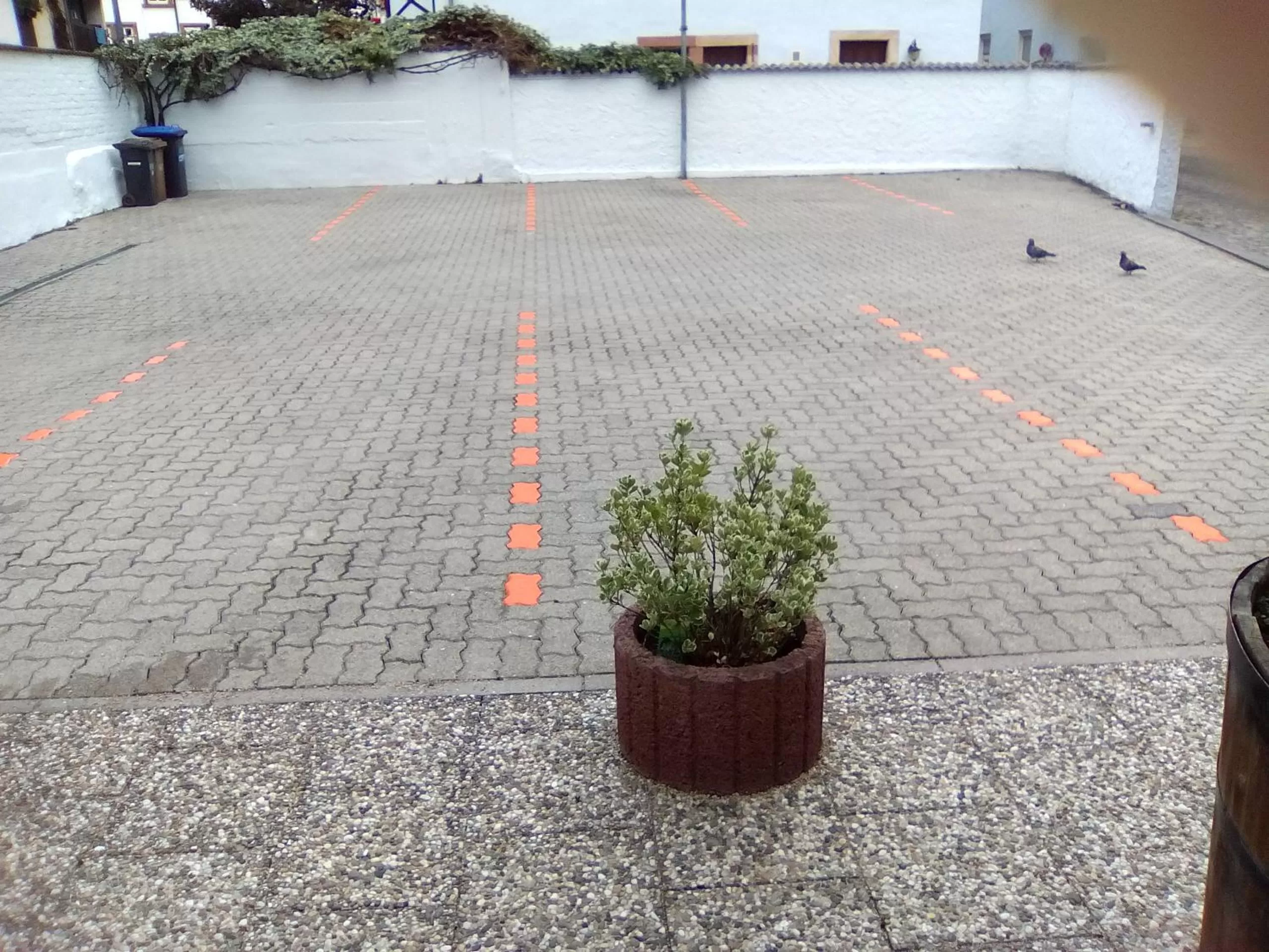 Day in Hotel Trutzpfaff