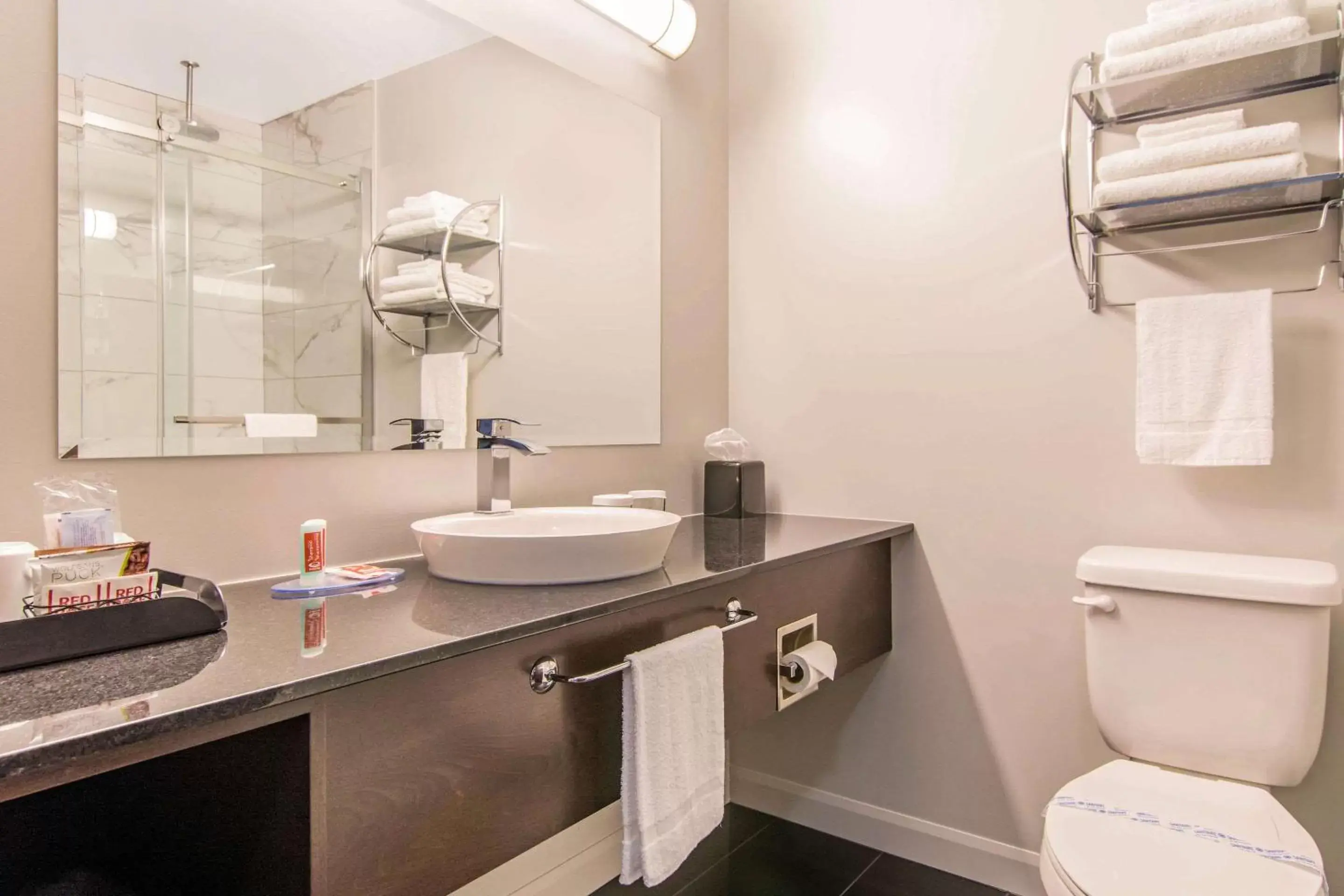Bathroom in Econolodge Inn & Suites St-Apollinaire