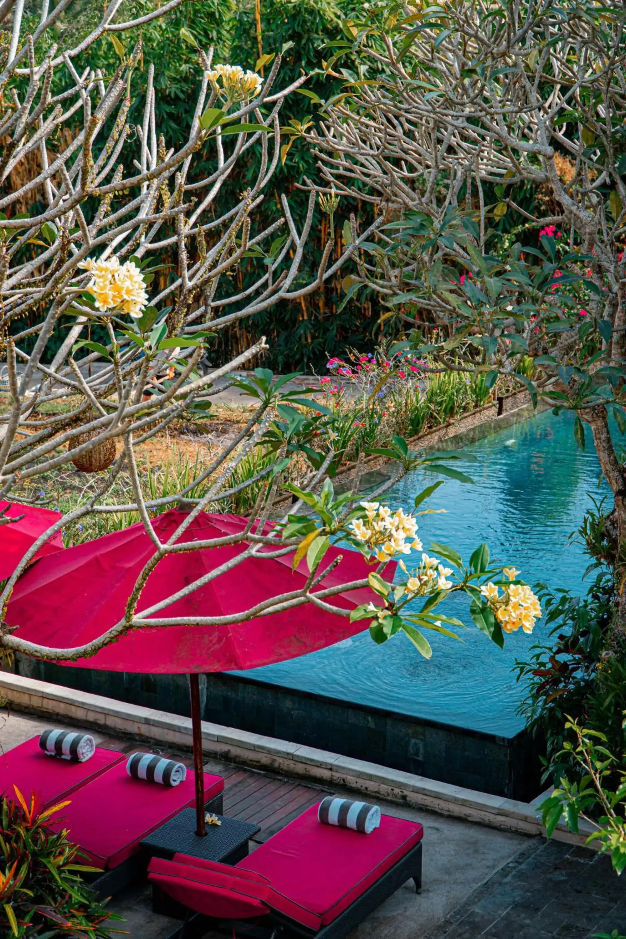 Swimming pool in Uma Stana Villa