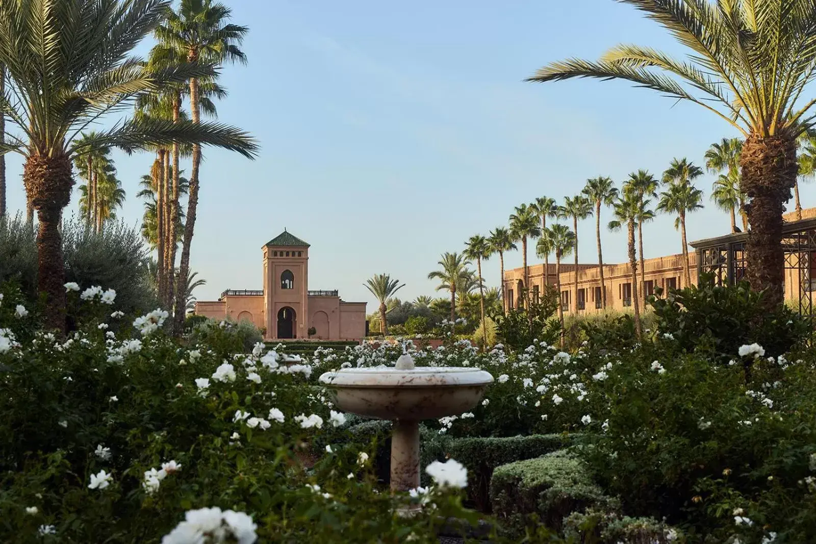 Garden, Property Building in Selman Marrakech